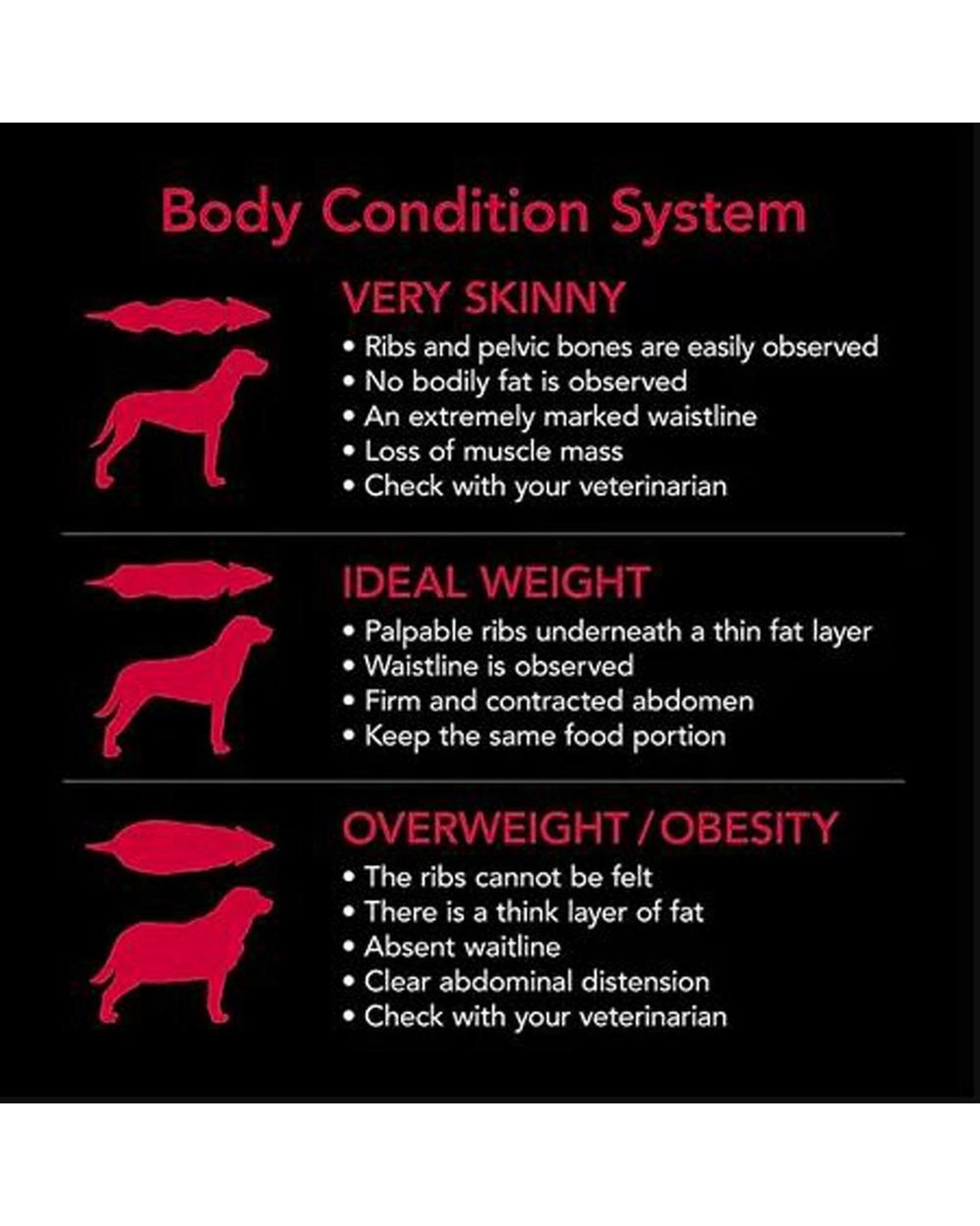 6 Supercoat Smartblend Adult Healthy Digestion Dry Dog Food w/ Beef 18kg, 6 of 10