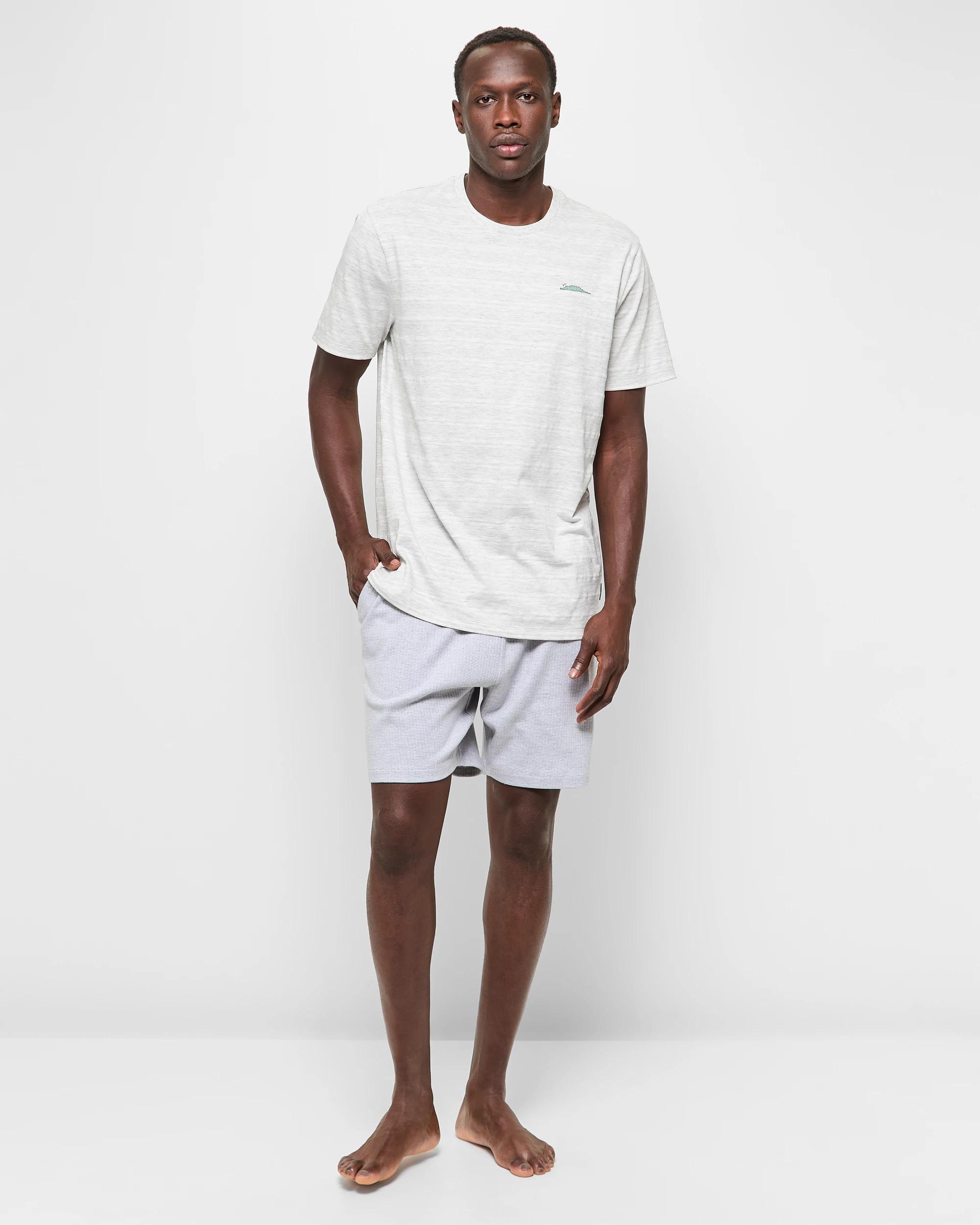 2 Australian Cotton Blend Men's Sleep Jersey T-shirt - Maxx GREY MARLE, 2 of 5