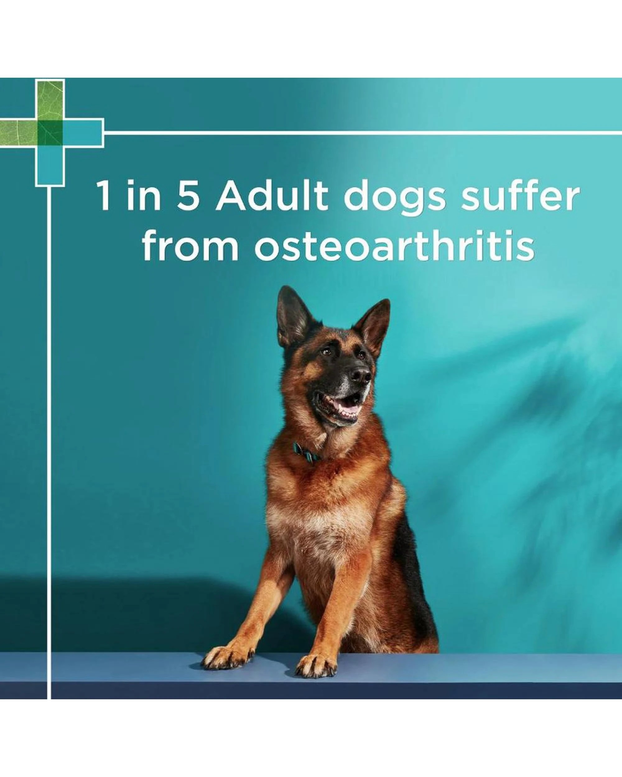 4 Paw Osteocare Chews For Dogs - 500gm 100's, 4 of 6