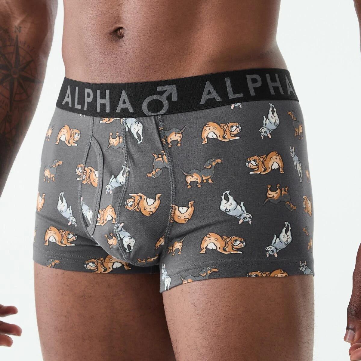 5 3 Pack Fly Front Print Trunks Hey Pups, 5 of 8