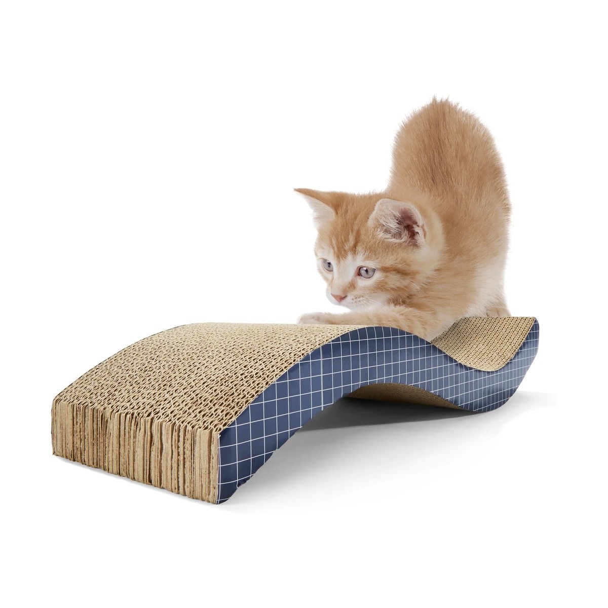 1 Cat Scratcher Wave, 1 of 5