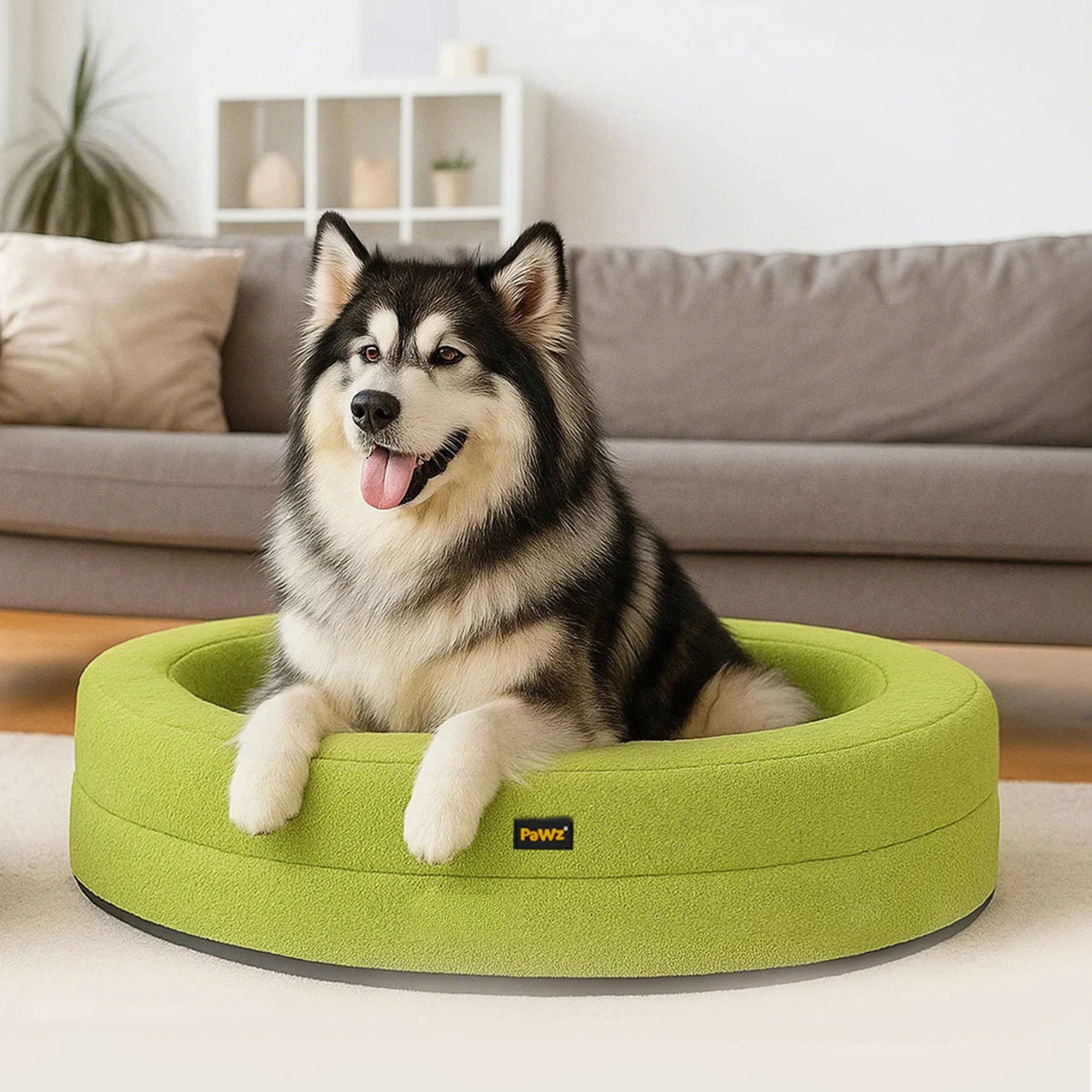 8 Pawz Washable Round Pet Bed  XXL - Green, 8 of 9