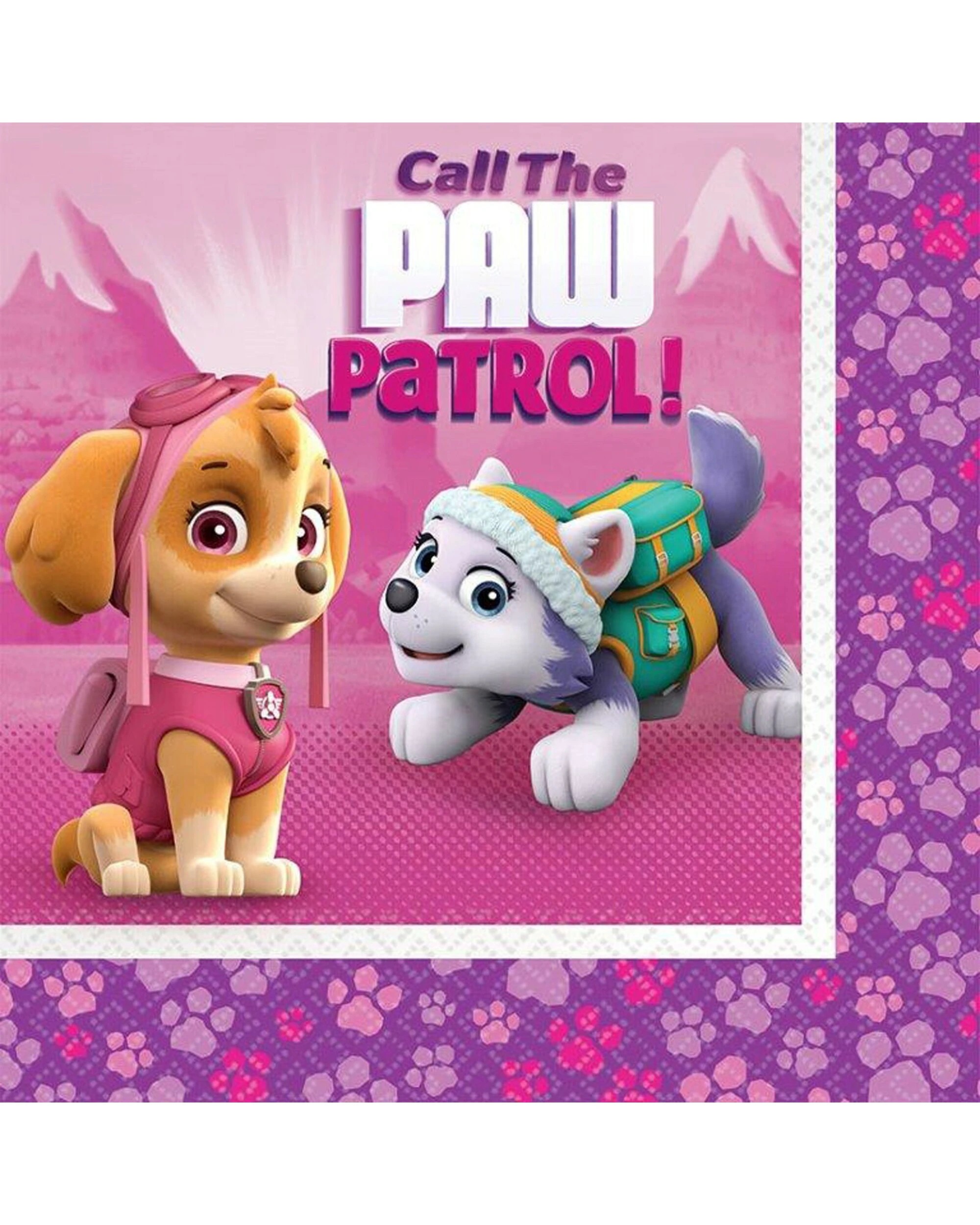 1 PAW Patrol Paw Patrol Girl Large Napkins Serviettes Pack of 16, 1 of 1