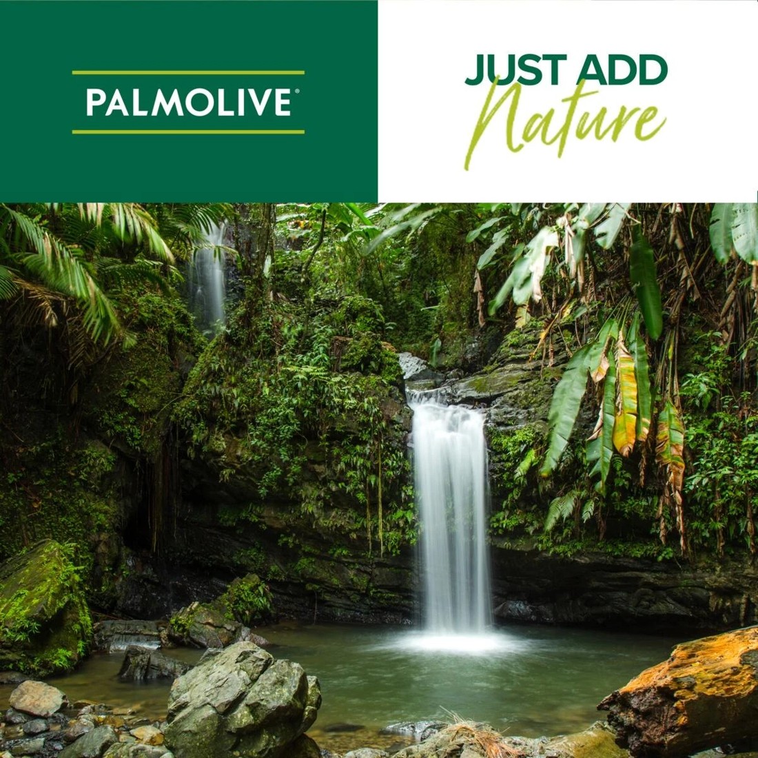 9 Palmolive Naturals Body Wash 2L - Cherry Blossom Extract and Moisturising Milk, 9 of 9