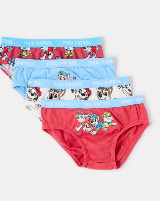 4 Pack PAW Patrol License Br