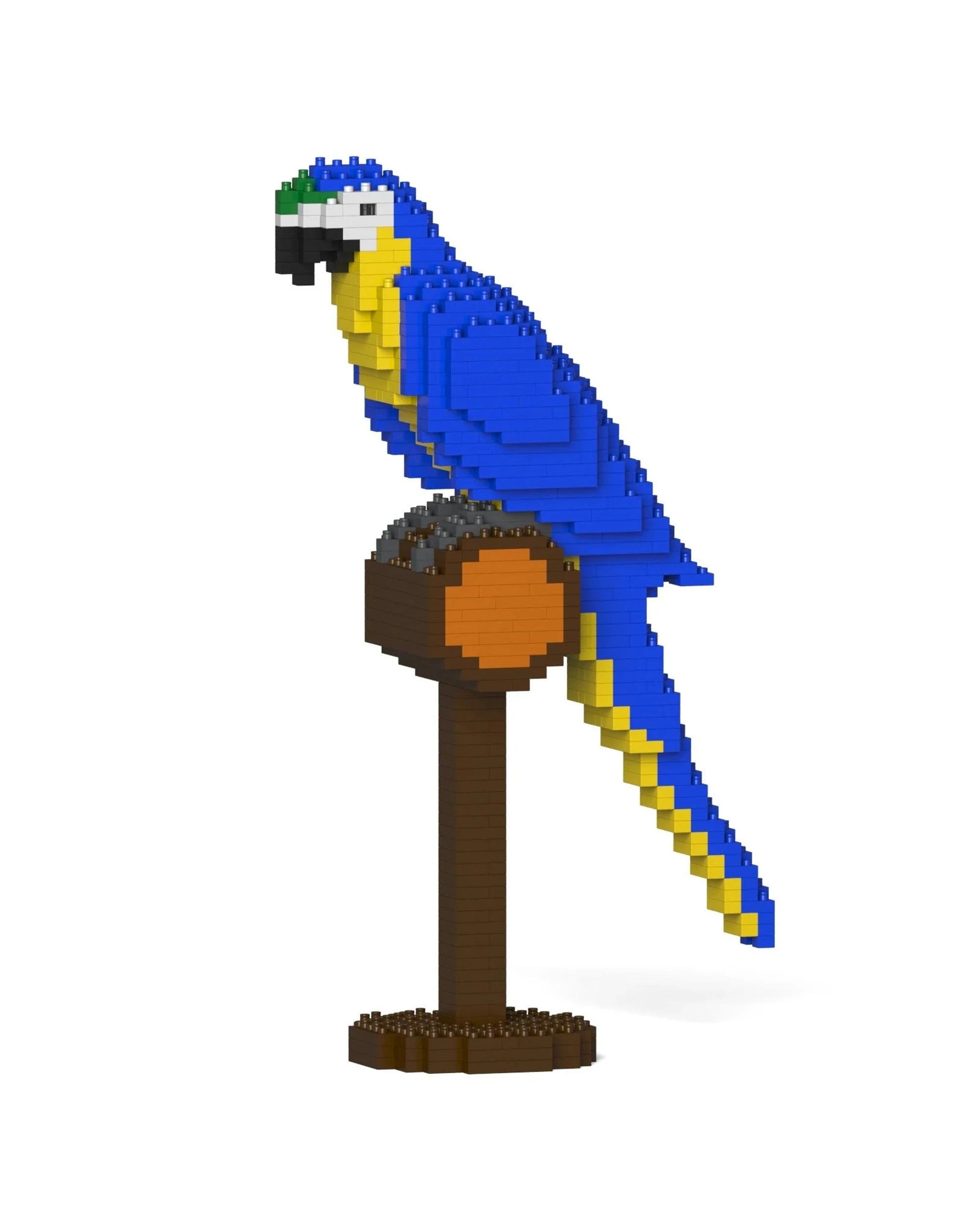 1 JEKCA Blue-and-Gold Macaw 01S, 1 of 1