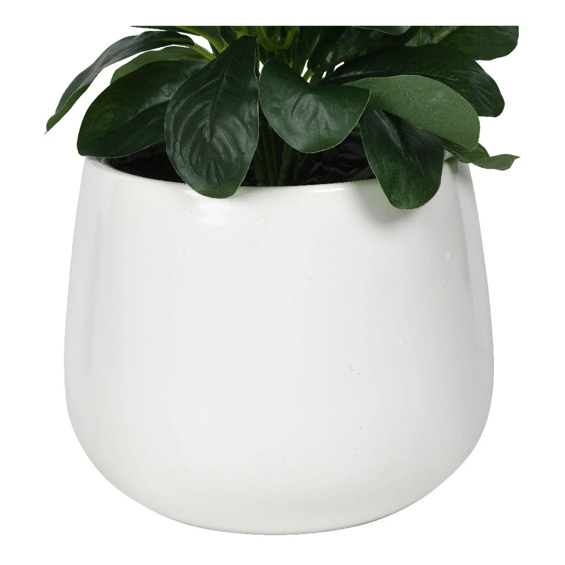 3 Otto Round White Glazed Pot with Plant, 3 of 3