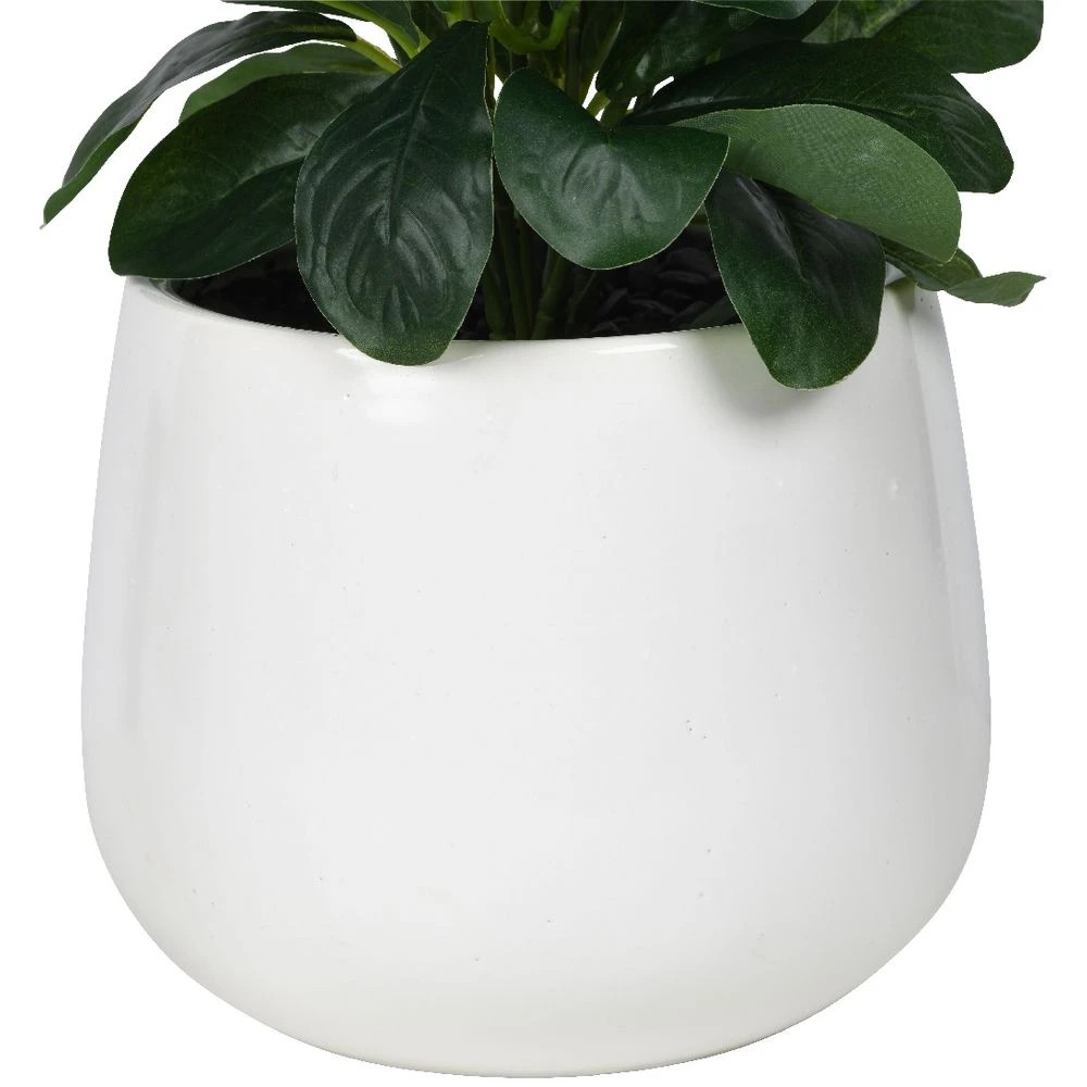 3 Otto Round White Glazed Pot with Plant, 3 of 3