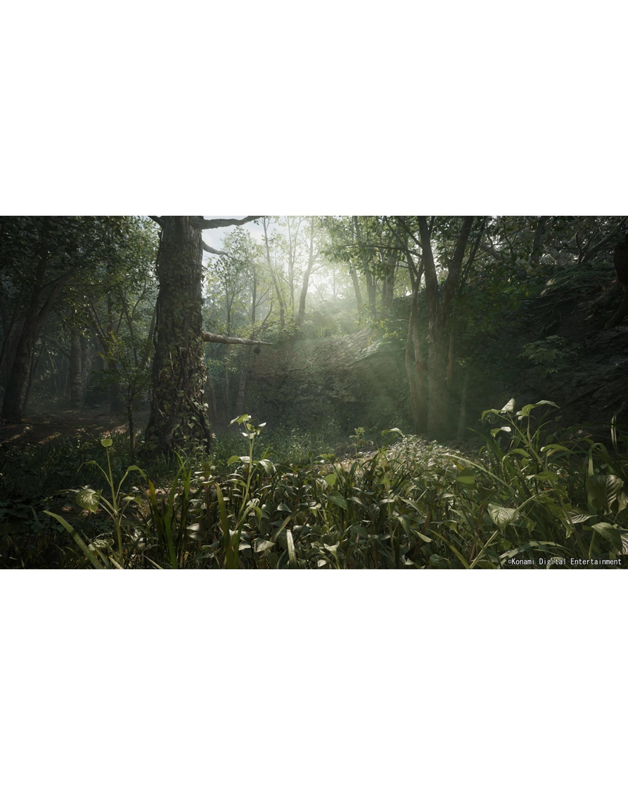 9 Metal Gear Solid Delta: Snake Eater Day 1 Edition - Xbox Series X, 9 of 9