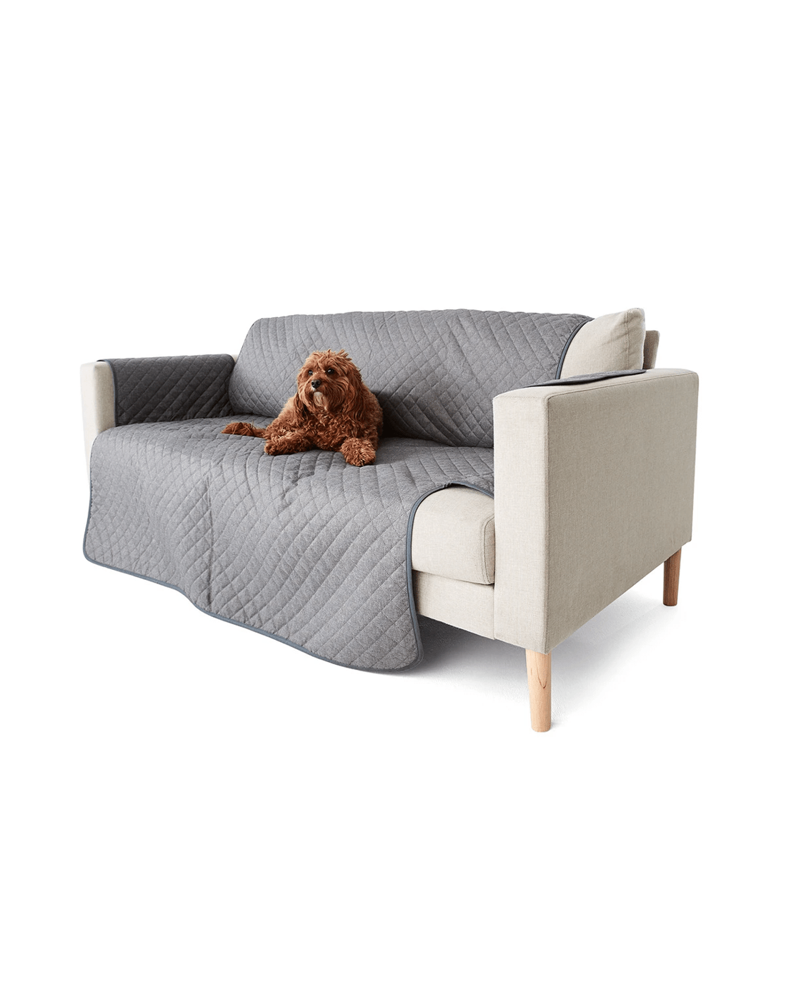 1 Pet Couch Cover, 1 of 10