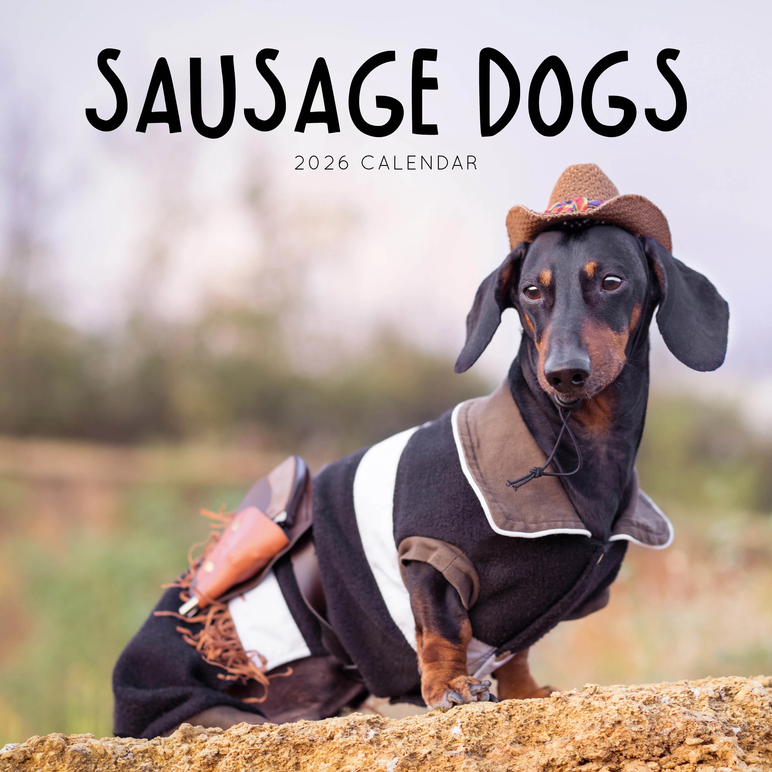 1 Sausage Dogs 2026 Calendar, 1 of 1