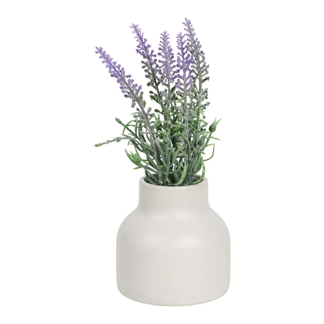 1 Otto Mini Plant, 1 of 3