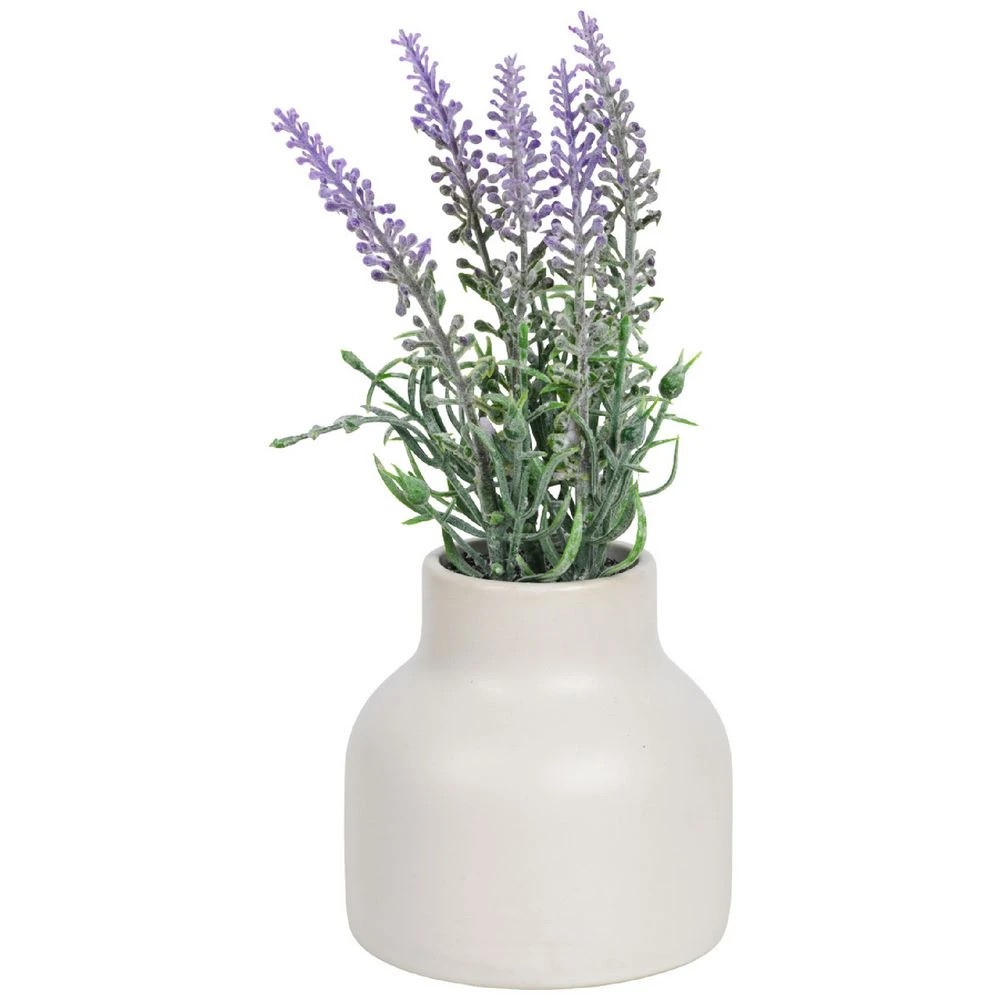 1 Otto Mini Plant, 1 of 3