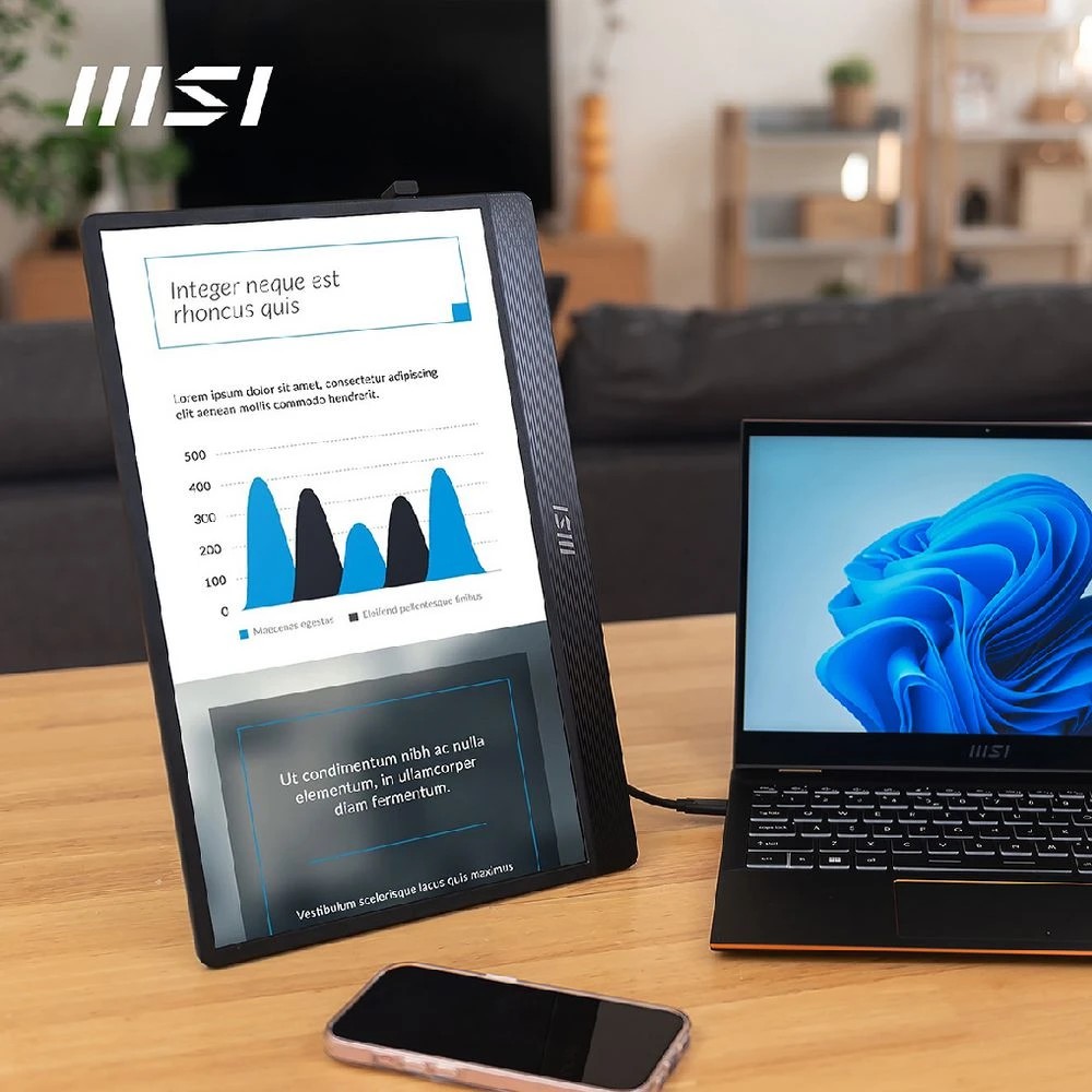 6 MSI PRO 15.6" FHD IPS USB-C Portable Monitor MP161 E2, 6 of 7
