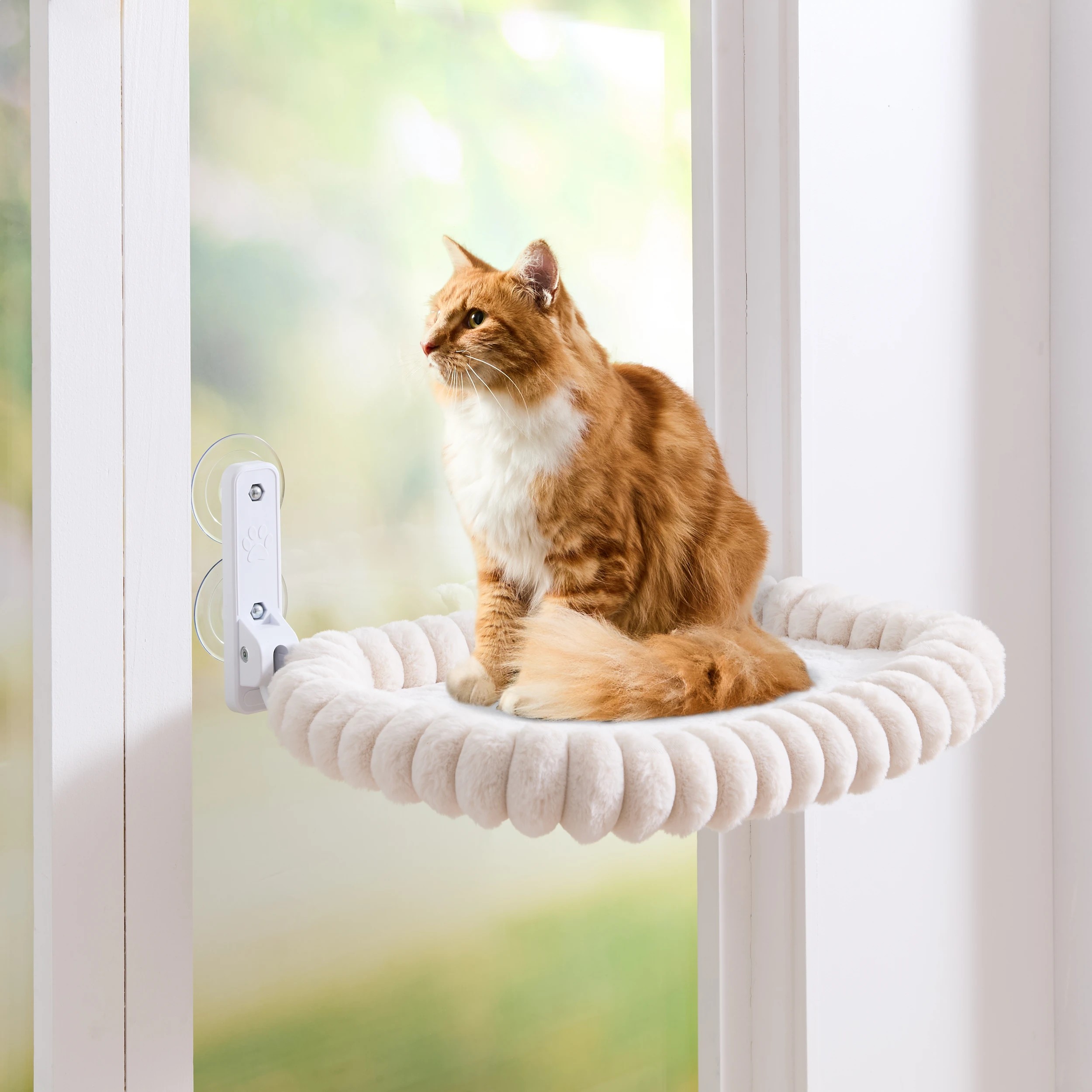 1 Hang Thick Rib Cat Ledge, 1 of 10