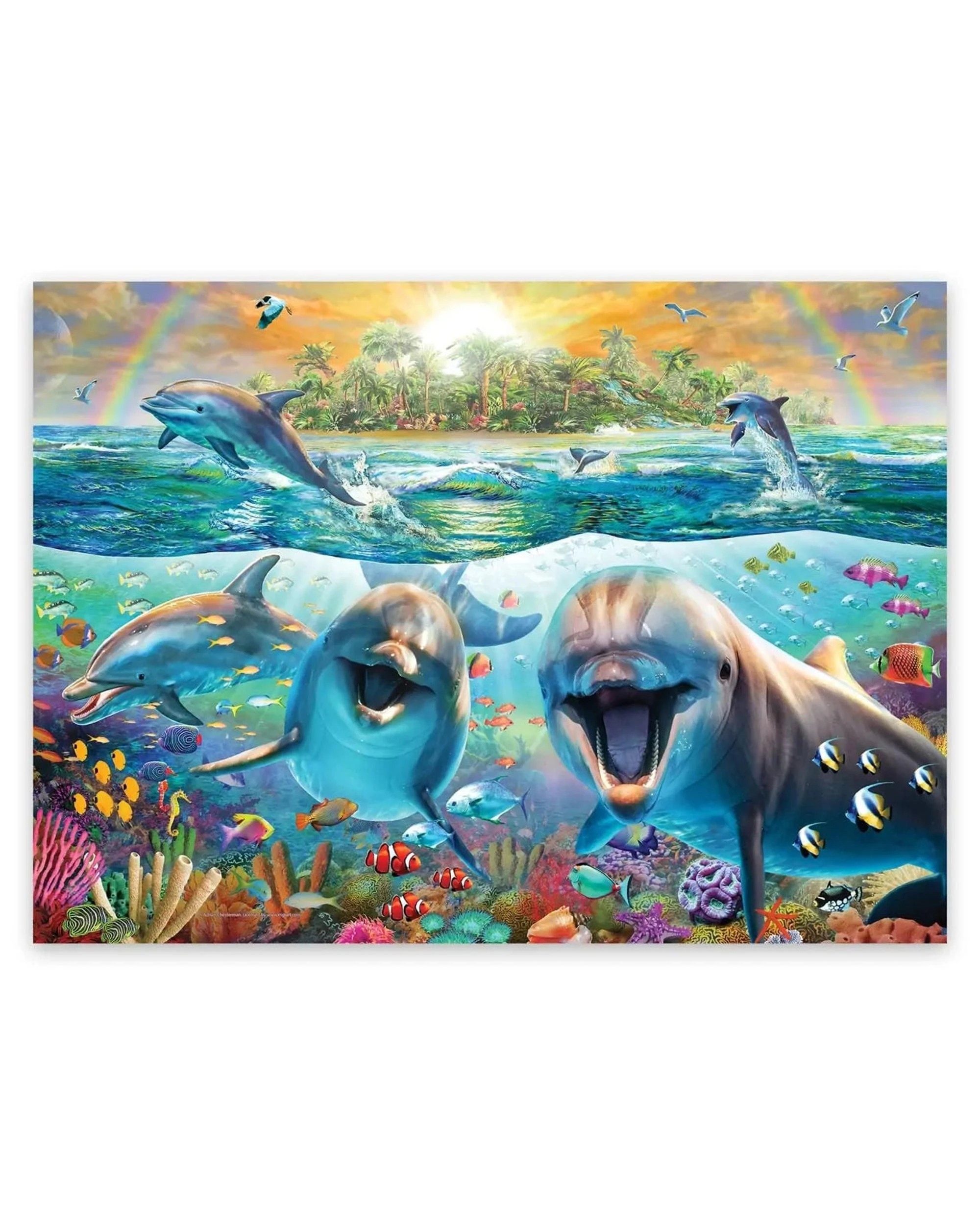 2 Harlington Laughing Dolphins Premium Series 1000 Piece, 2 of 2