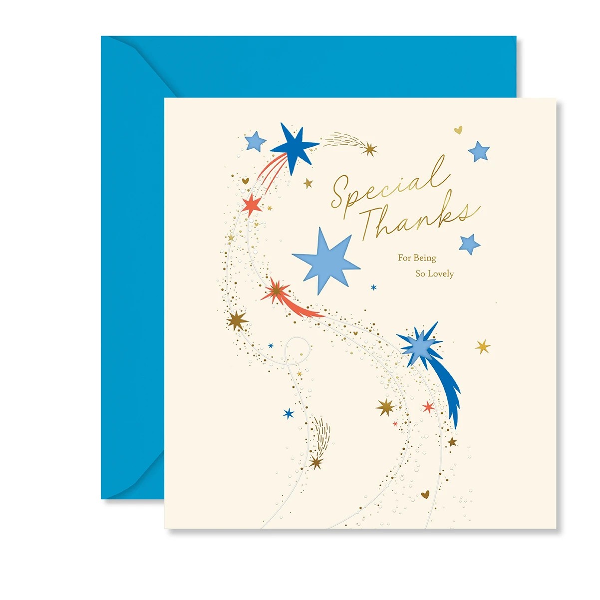 1 Hallmark Card - Special Thanks, 1 of 3