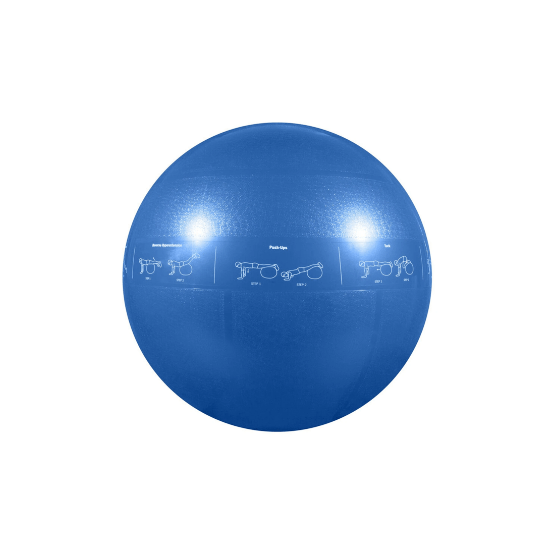 1 GoFit Pro Guide Ball 55cm Exercise Slip Resistant 907kg Rated With Pump And DVD - Blue, 1 of 2
