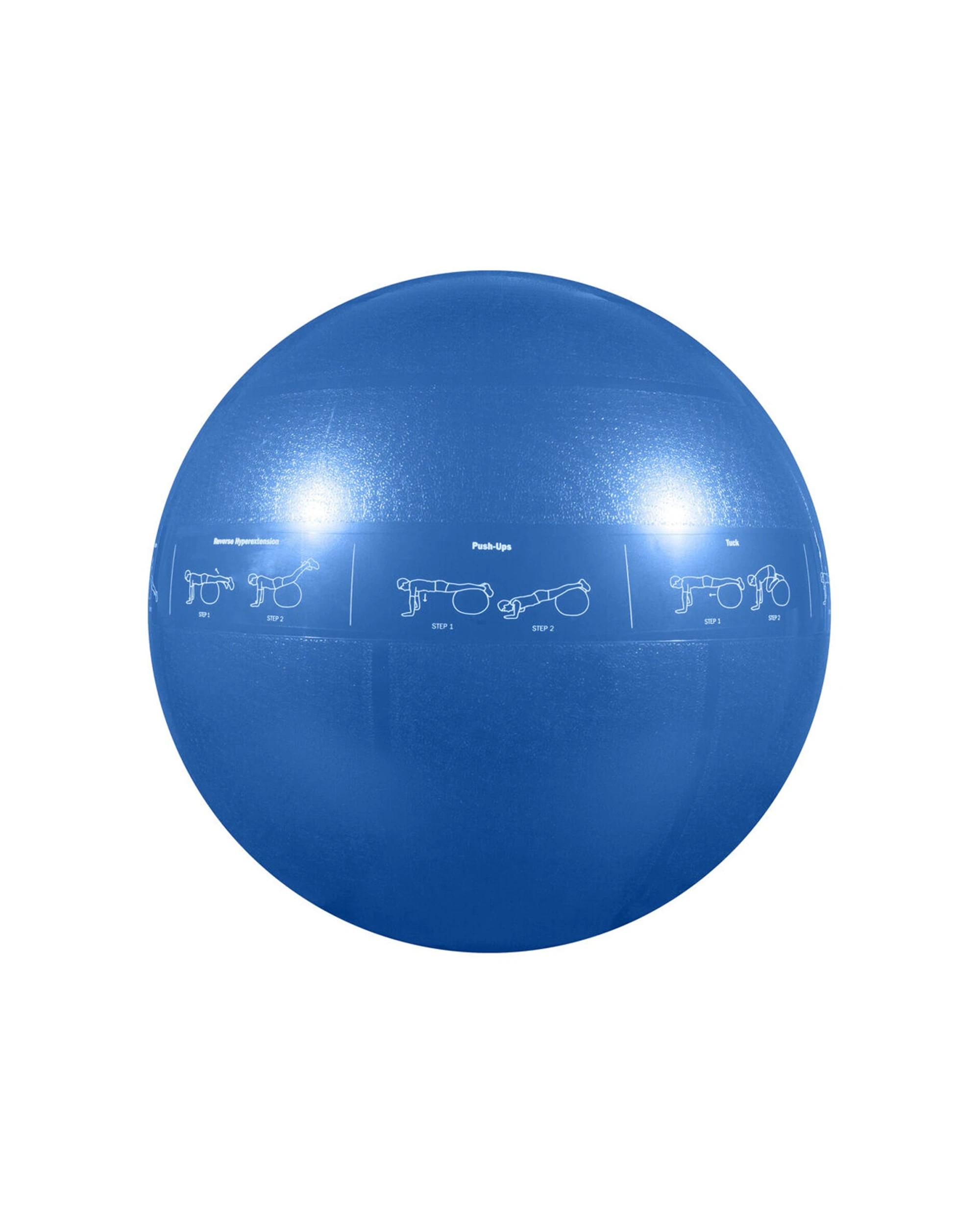 1 GoFit Pro Guide Ball 55cm Exercise Slip Resistant 907kg Rated With Pump And DVD - Blue, 1 of 2
