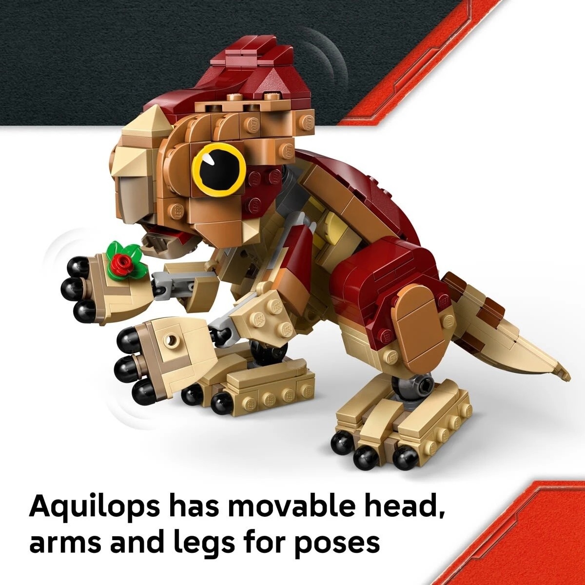 5 LEGO Jurassic World Baby Dinosaur Dolores: Aquilops 76970, 5 of 11