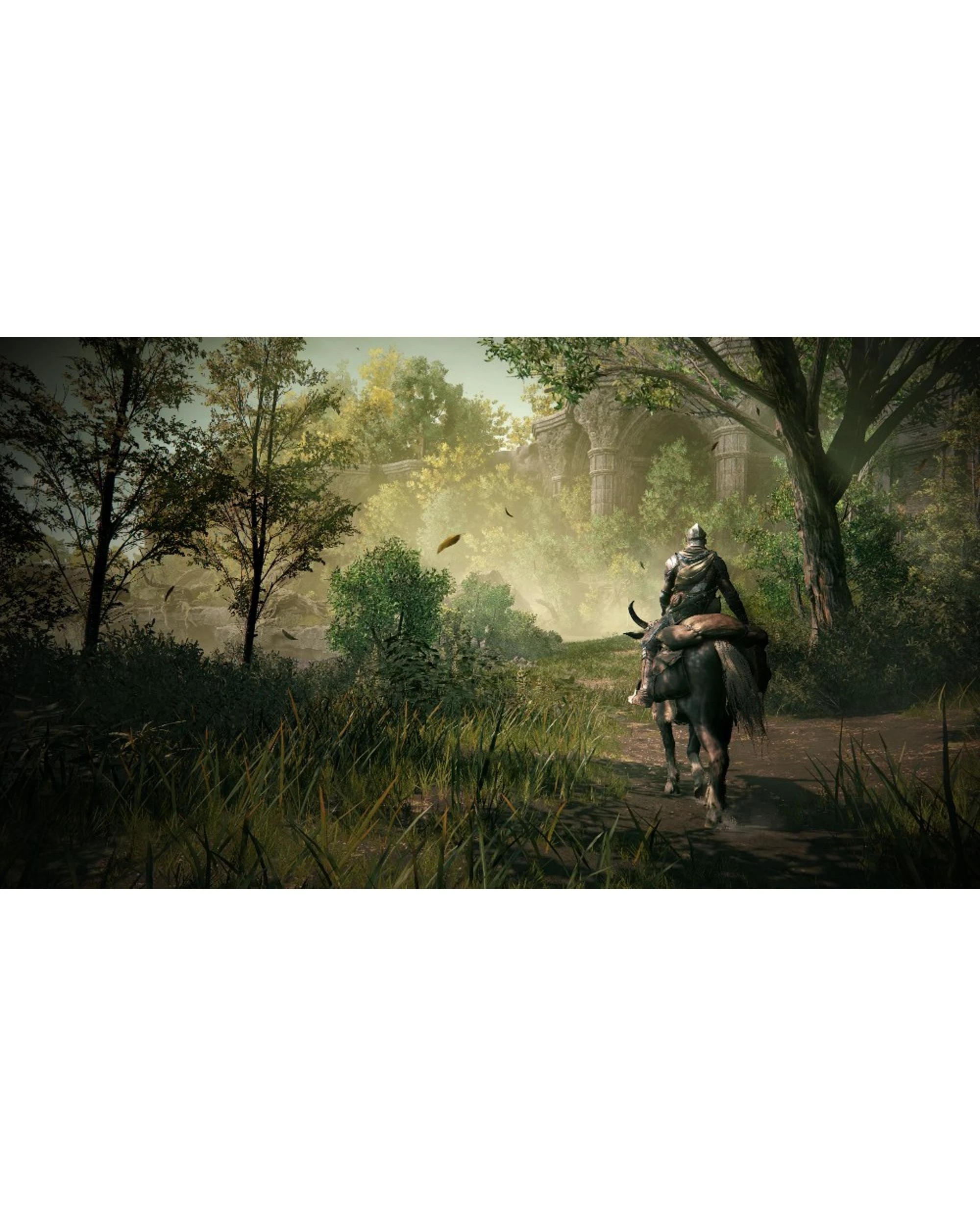 9 Bandai Namco Entertainment Elden Ring Shadow of the Erdtree Edition - PS5, 9 of 10