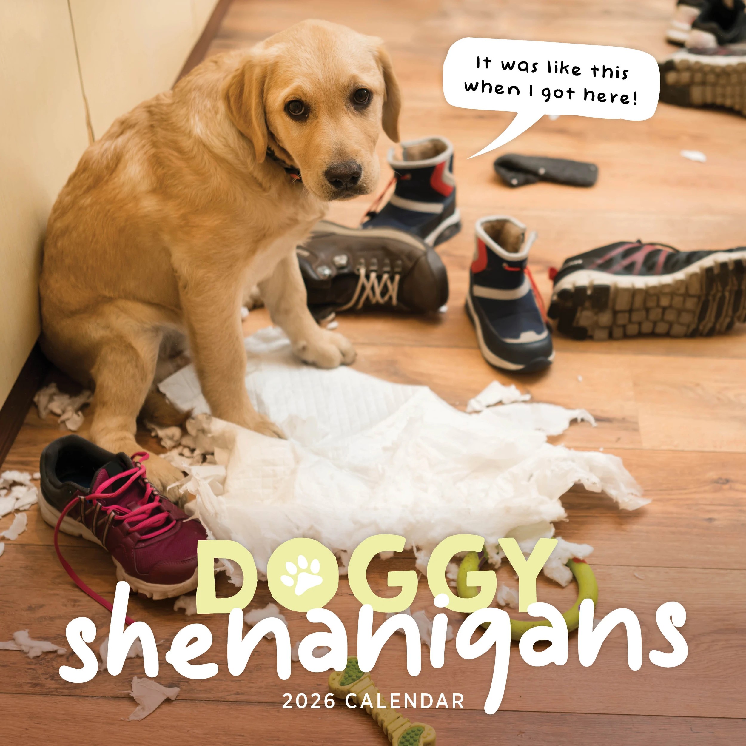 1 Doggy Shenanigans 2026 Calendar, 1 of 1