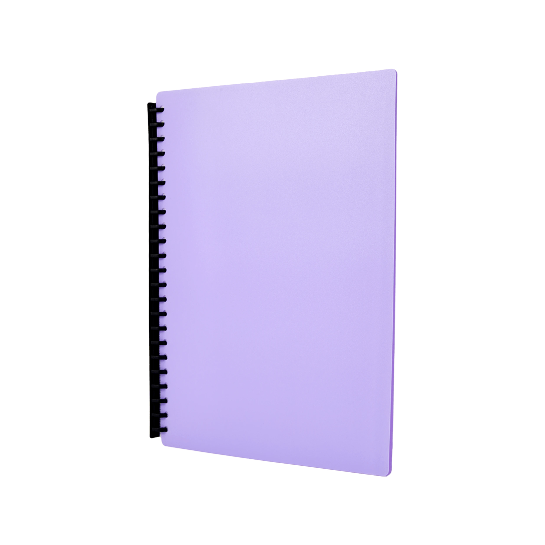 2 A4 Display Folder - Purple, 2 of 7