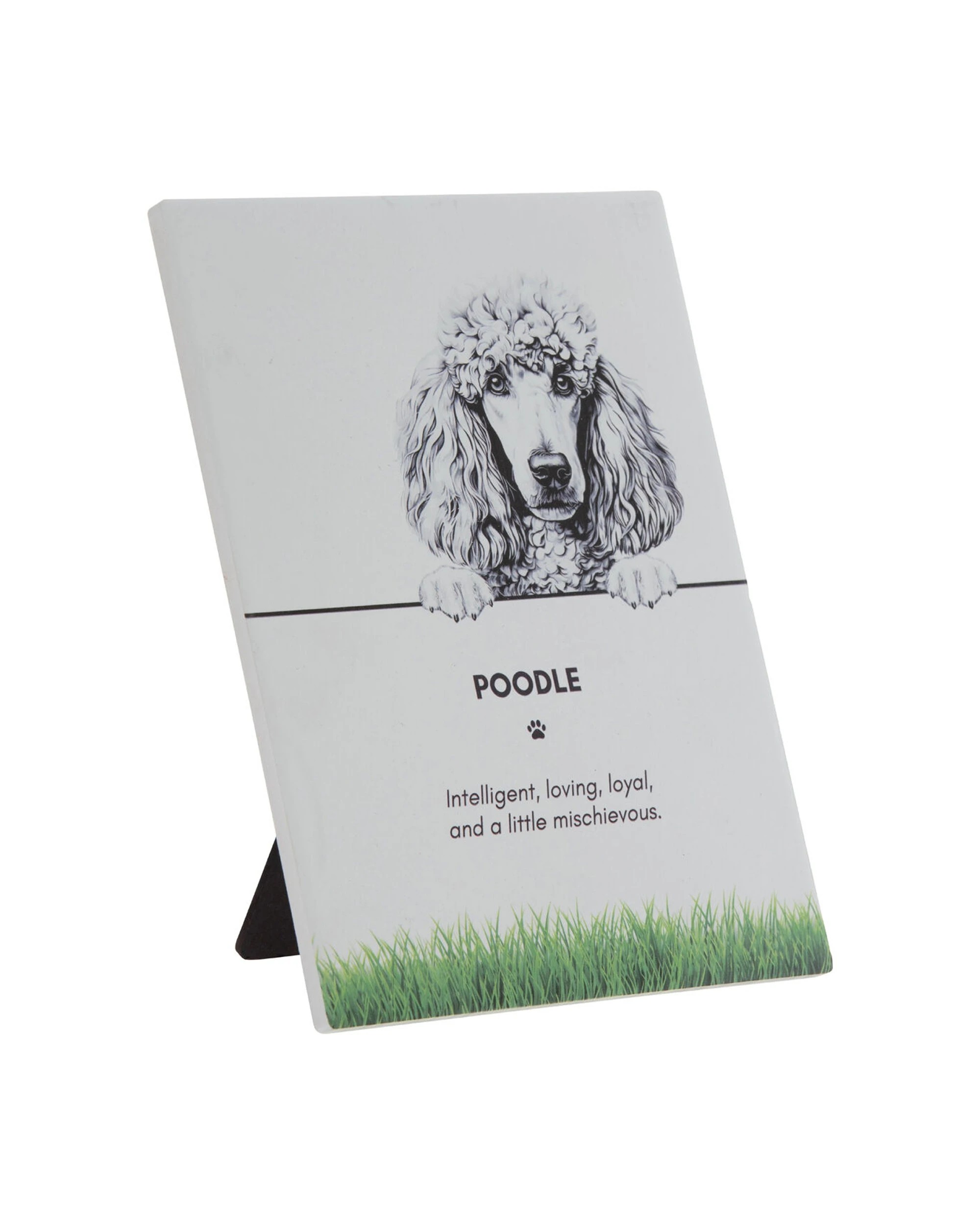 2 Bramble Bay 2PK Pet Wall Art Plaque Poodle Dog Lovers Gift 16.5x21cm - Multi, 2 of 3