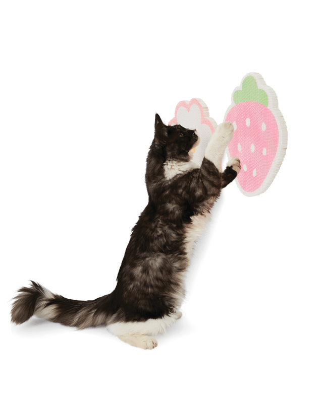 2 Pack Stick-On Cardboard Scratc