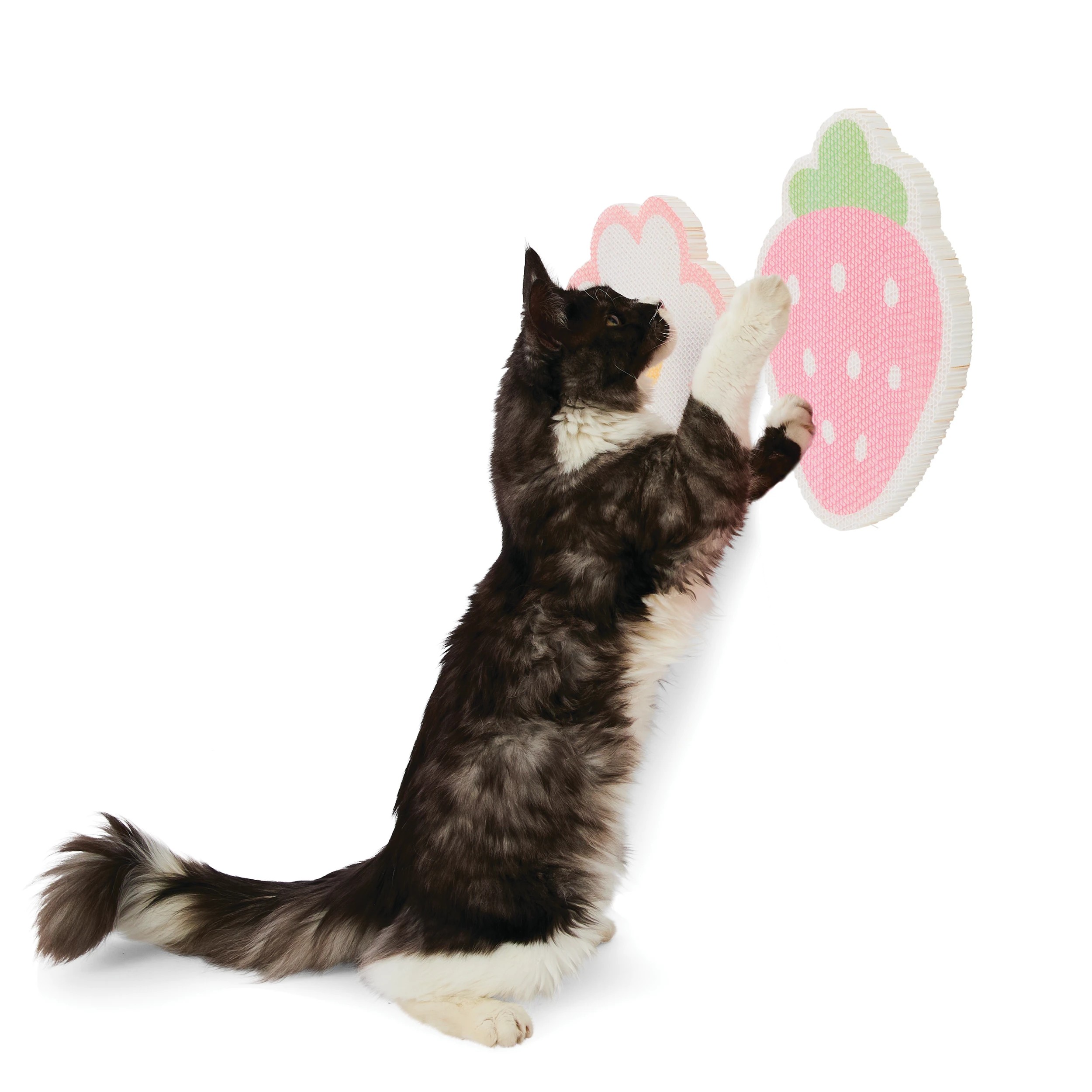 1 2 Pack Stick-On Cardboard Scratchers, 1 of 10