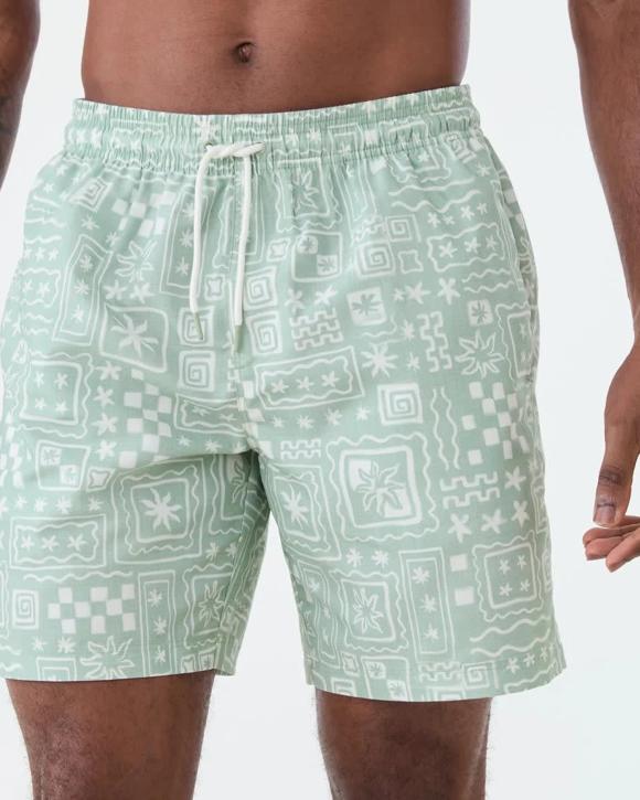 Regular Print Boardshorts