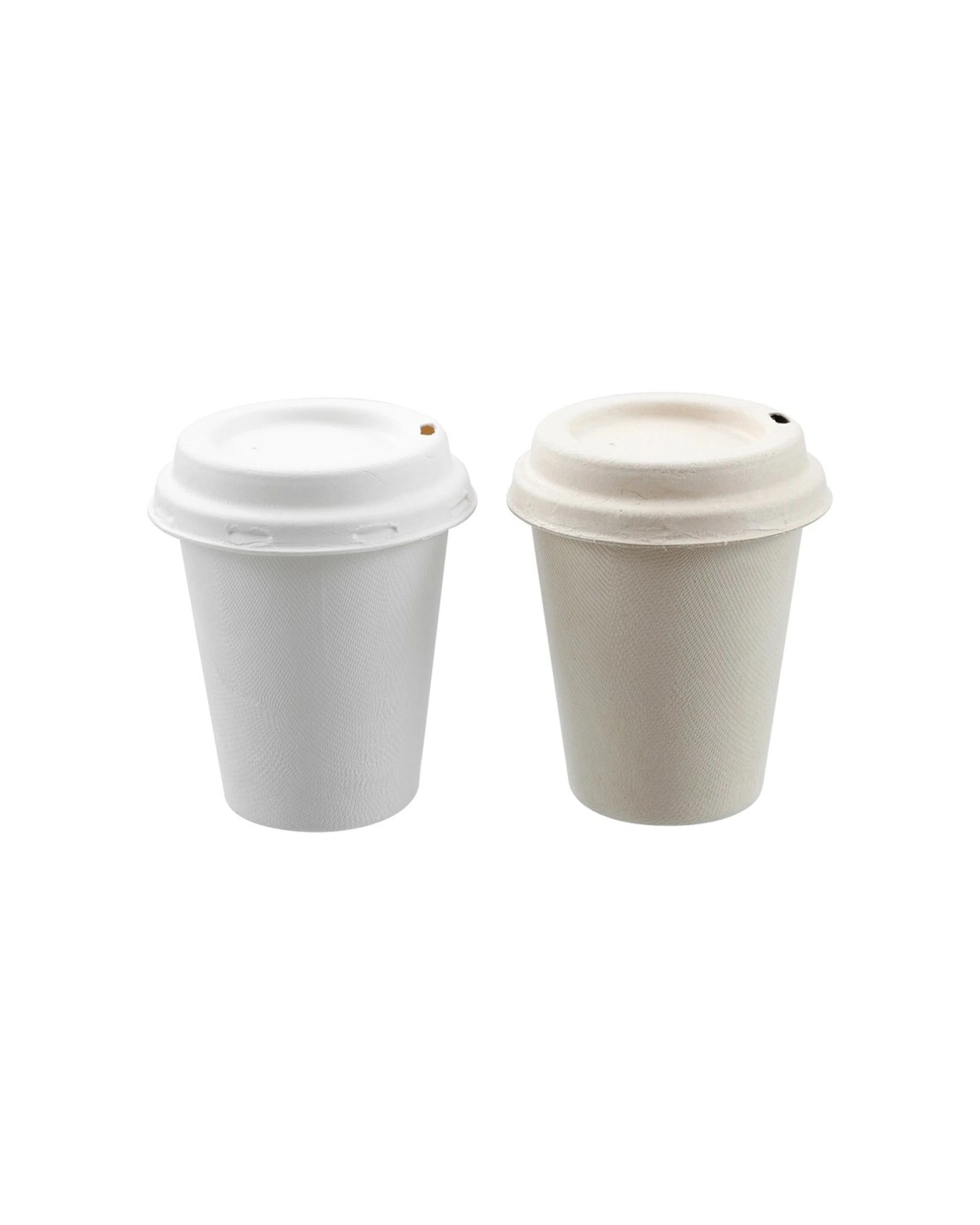 4 15pk Lemon & Lime 250ml Eco Sugarcane Coffee Cup W/ Lid  Sip Mug Assorted
 - Multi, 4 of 5