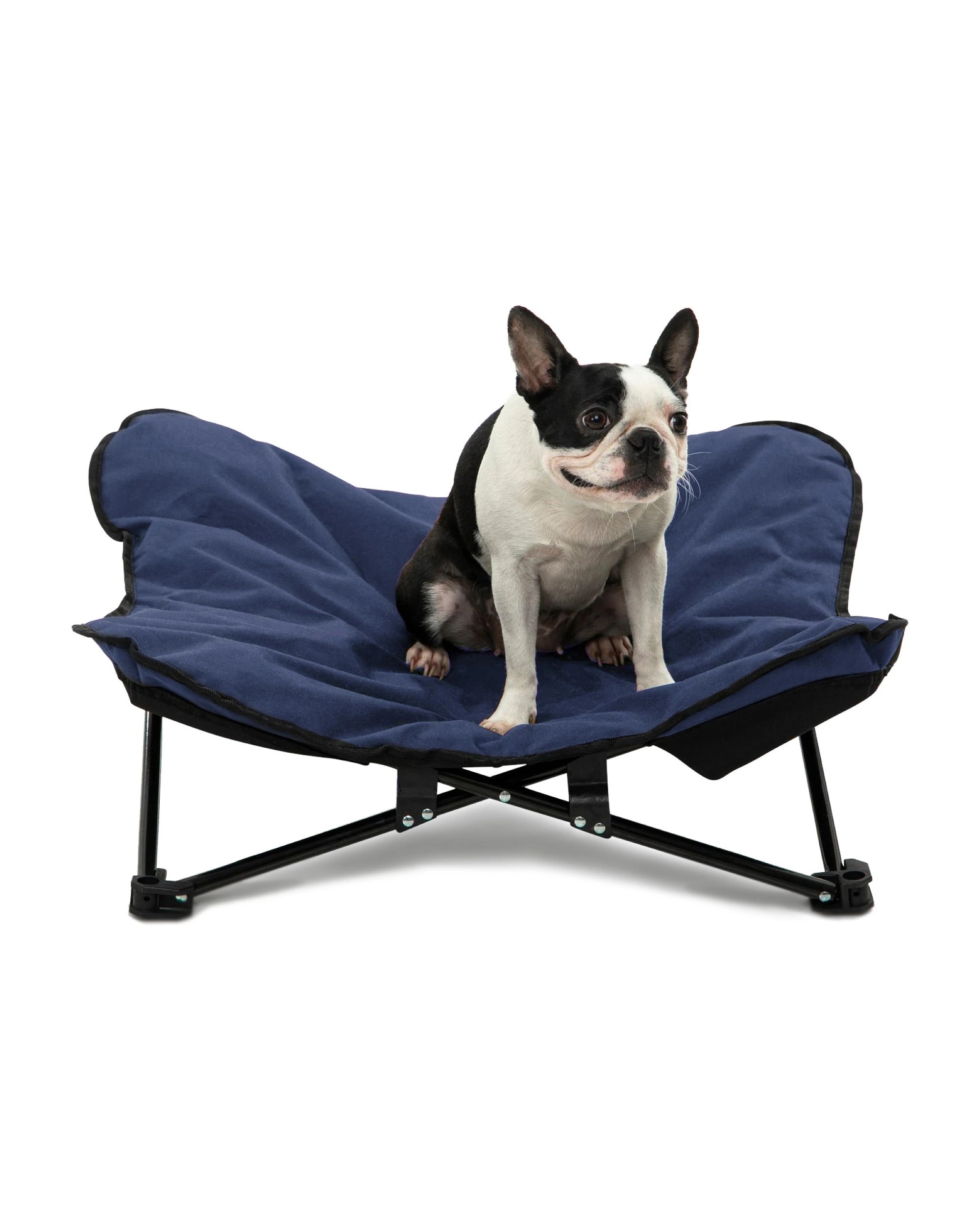 1 Charlie's Butterfly Foldable Outdoor Camping Dog Bed Medium - Blue, 1 of 9