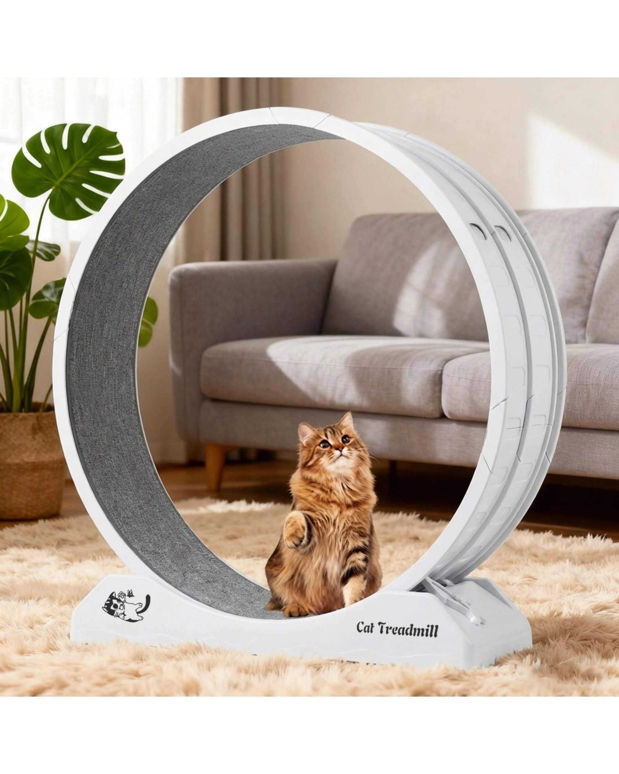 2 Advwin Cat Treadmill Exercise Wheel Running Wheel, 2 of 8