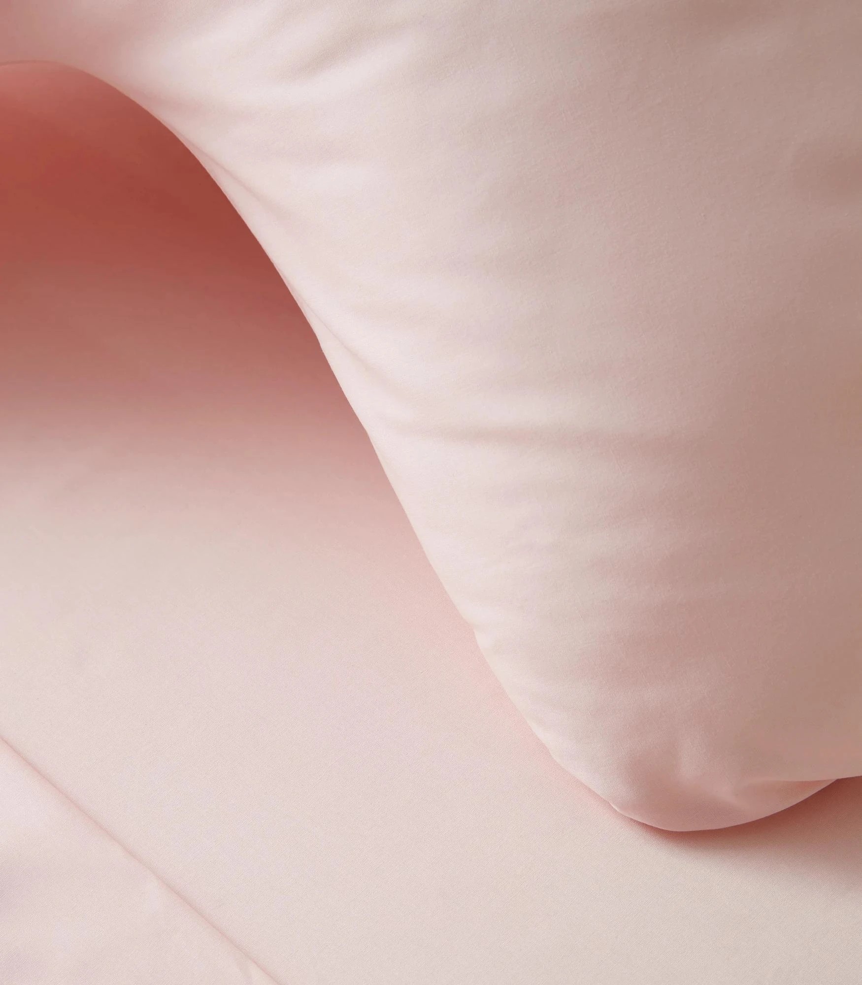 2 Target Australian Cotton 250 Thread Count Posture Pillowcase - Queen Bed - Pink, 2 of 2