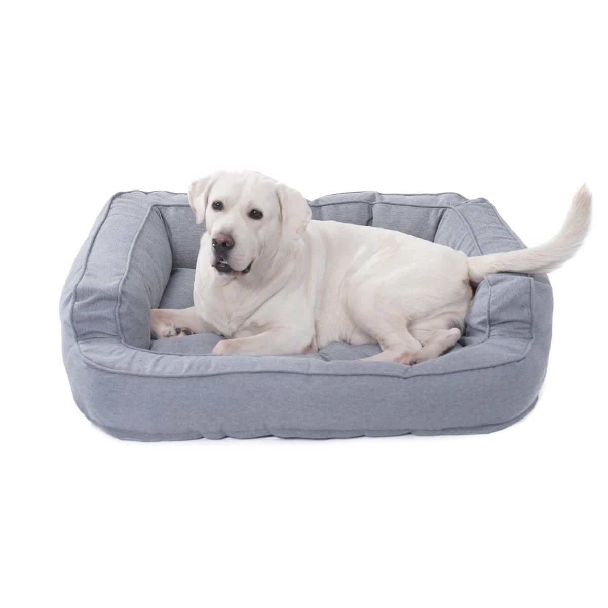 1 Pet Bed Bolstered - Extra Large, 1 of 8