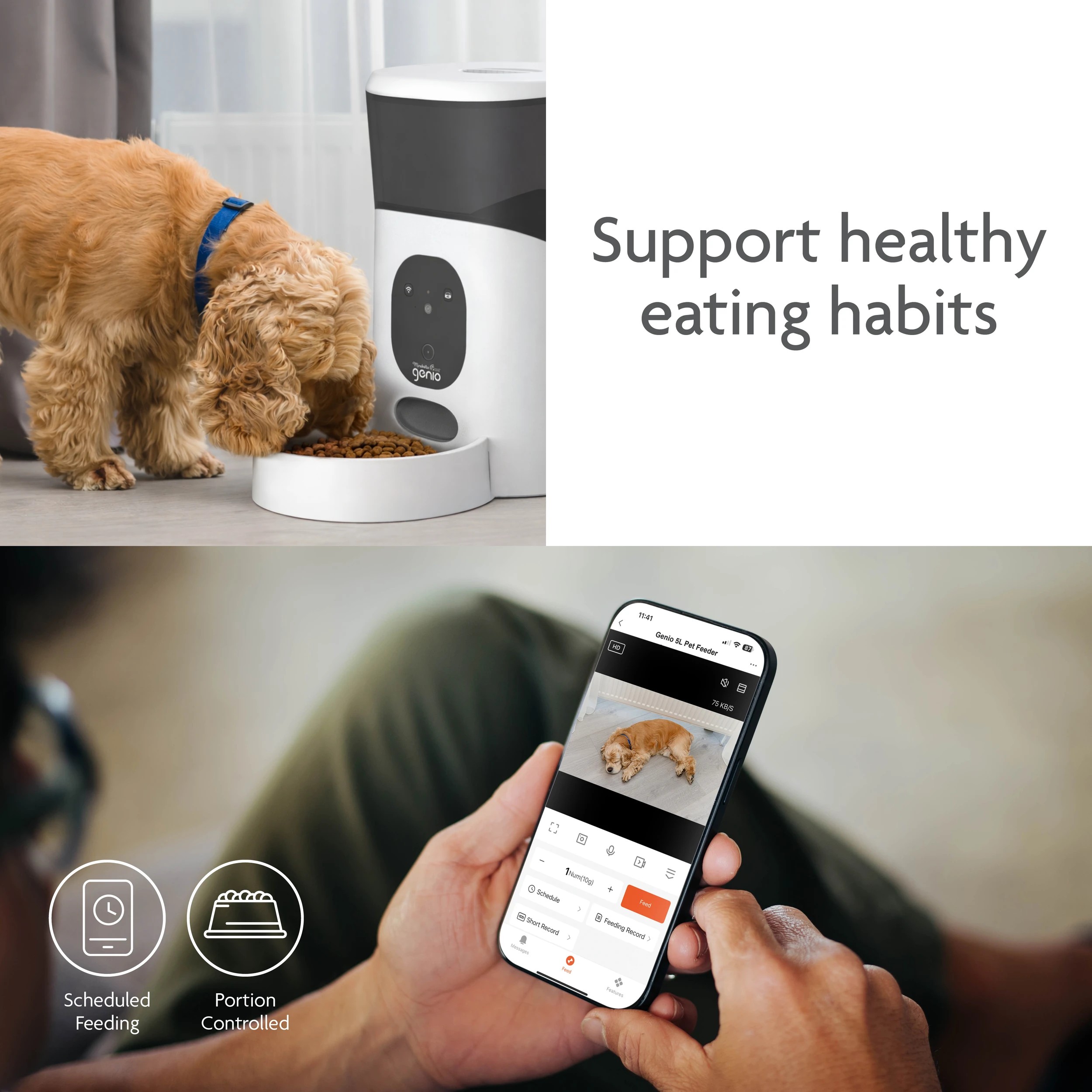 8 5L Pet Feeder with Camera, 8 of 10