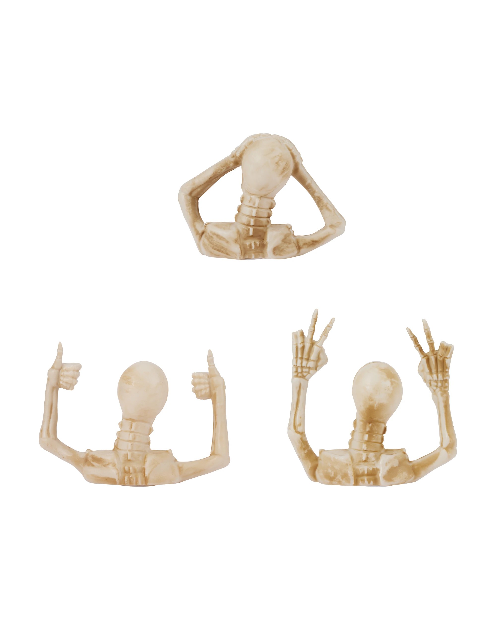 4 Light Up Skeleton Torso - Assorted, 4 of 6