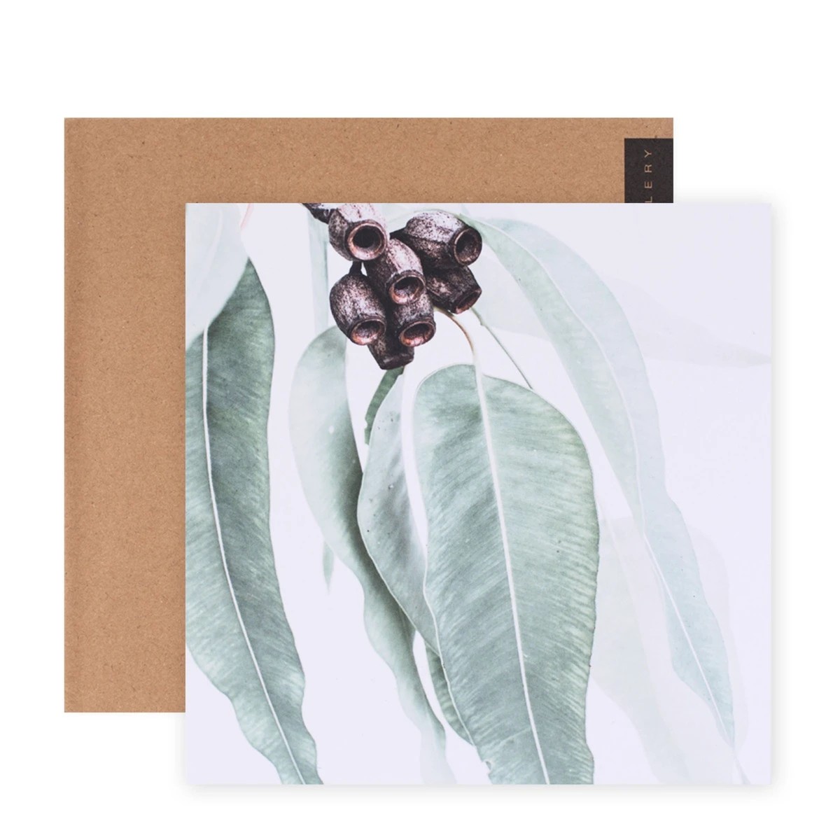 1 Hallmark x Donna Delaney Gallery Blank Greeting Card - Home Among The Gum Trees, 1 of 3