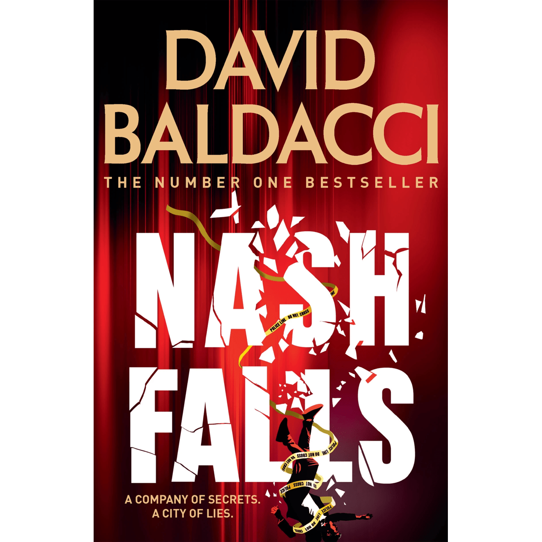 1 Nash Falls by David Baldacci - Book, 1 of 1