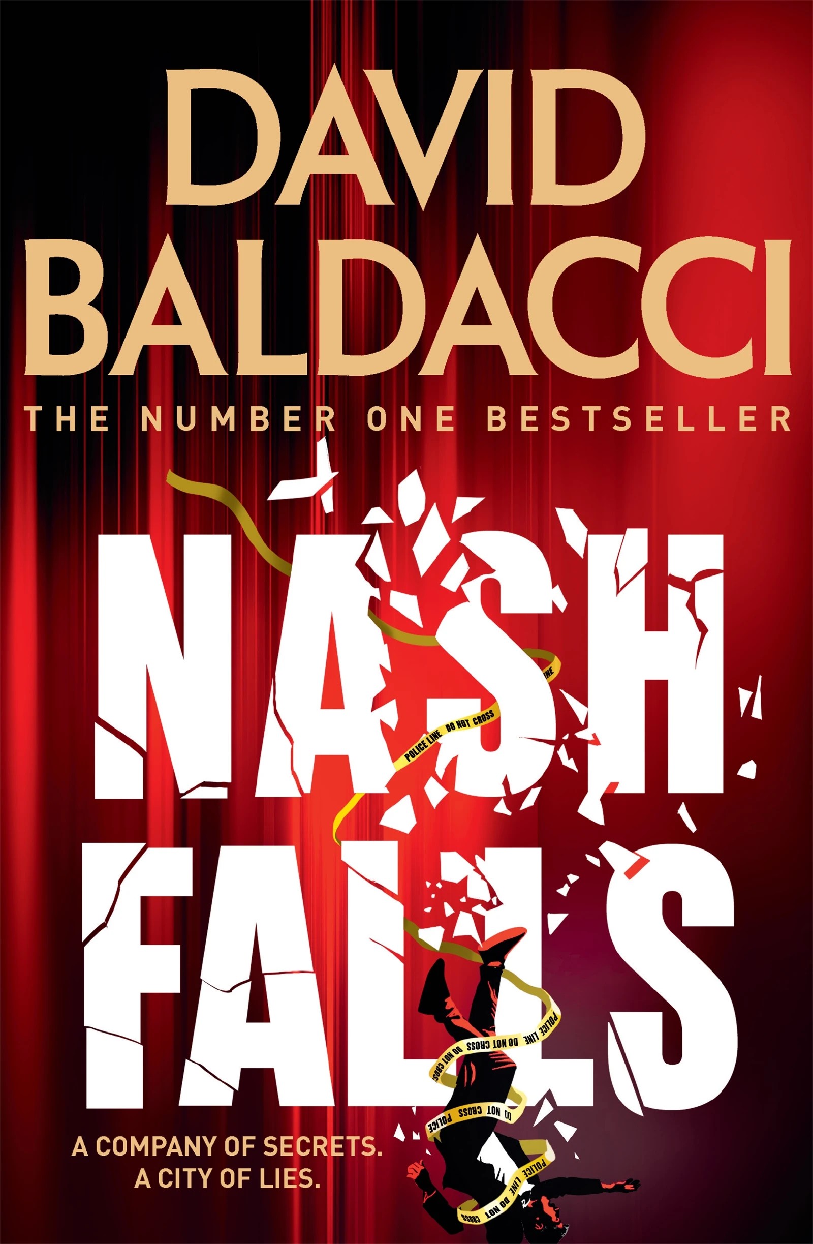 1 Nash Falls by David Baldacci - Book, 1 of 1