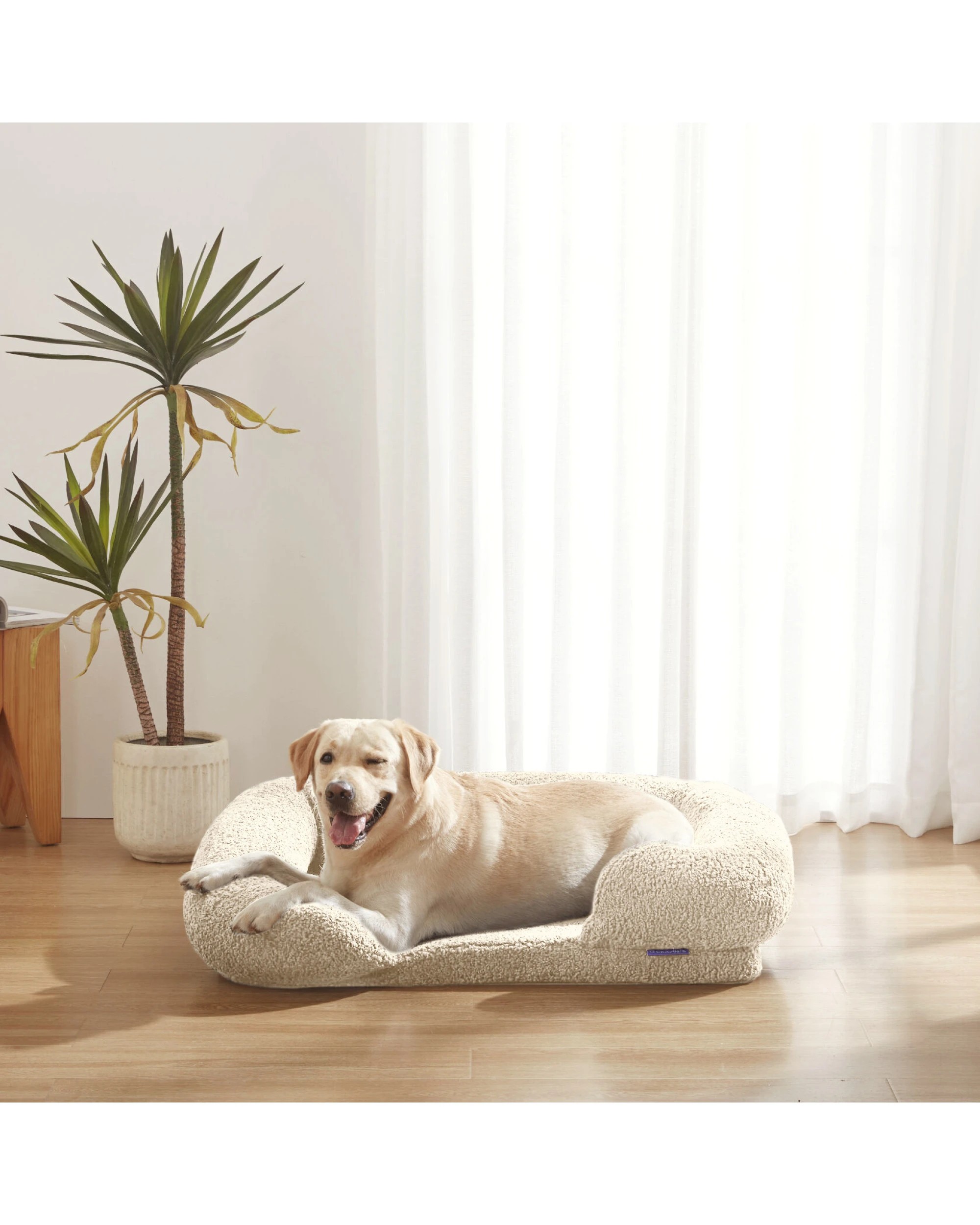 3 Charlie's Teddy Fleece Orthopedic Memory Foam Sofa Dog Bed with Bolster Medium - Cream, 3 of 9