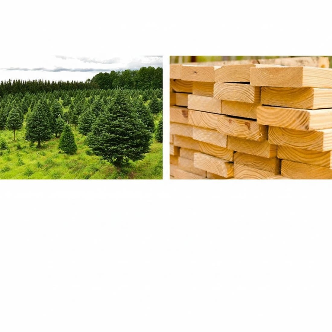 4 Gardeon Adirondack Outdoor Chairs Wooden Beach Chair Patio Furniture Garden - Natural, 4 of 5