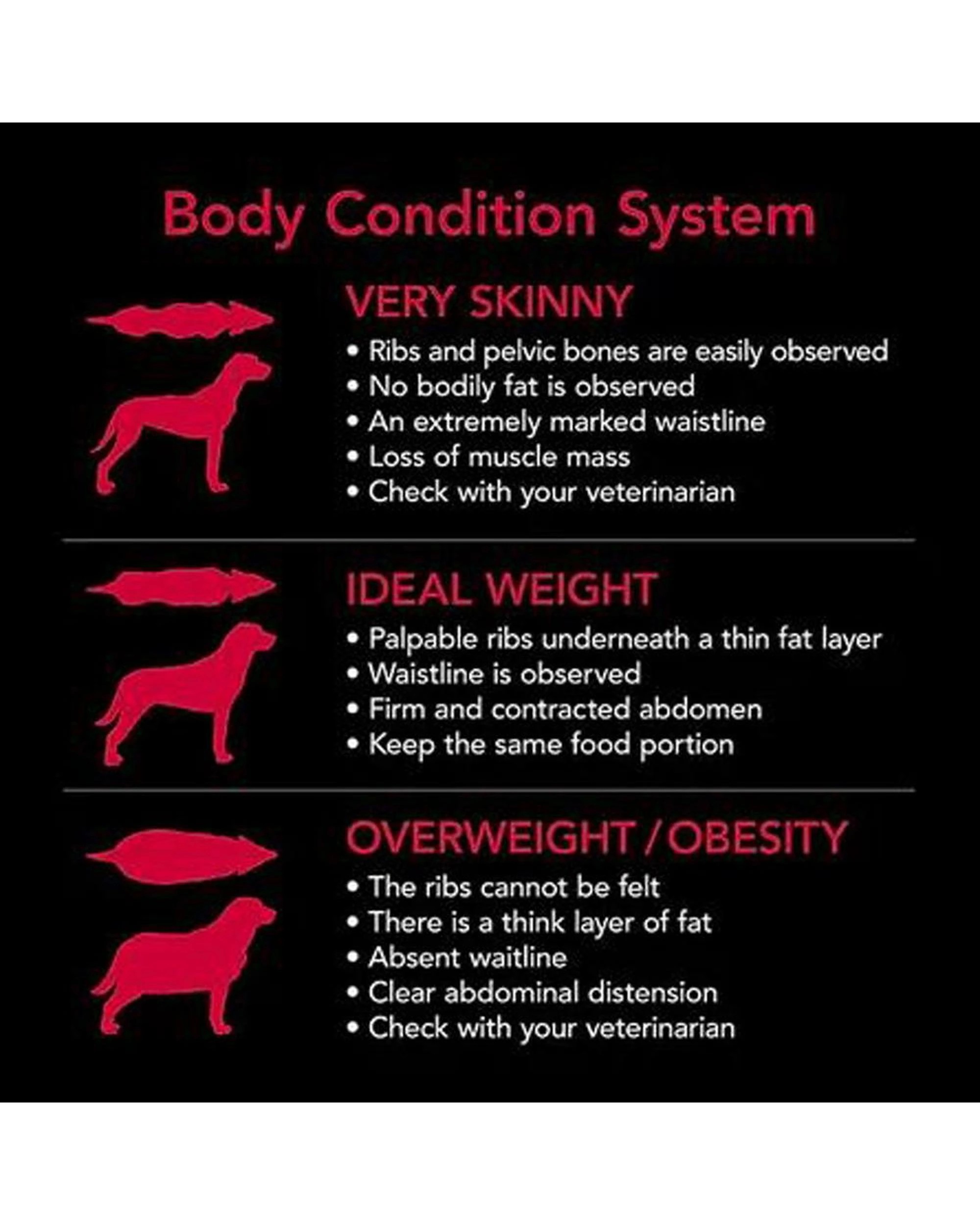 7 Supercoat Smartblend Adult Healthy Digestion Dry Dog Food w/ Beef 2.8kg, 7 of 10
