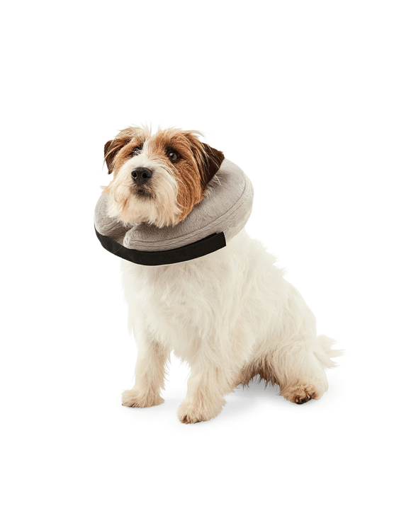 Inflatable Collar Small to Medium Kmart