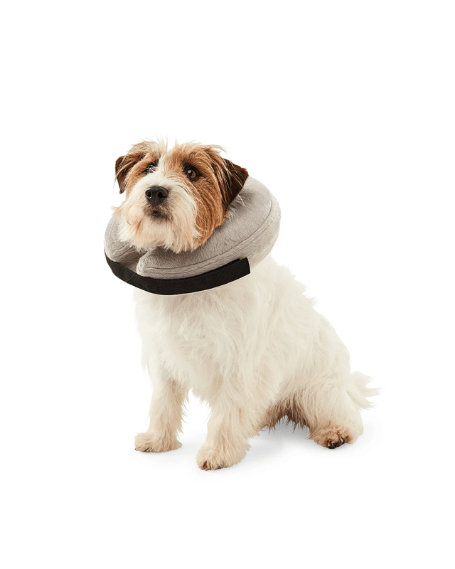 Inflatable Collar - Small to Me