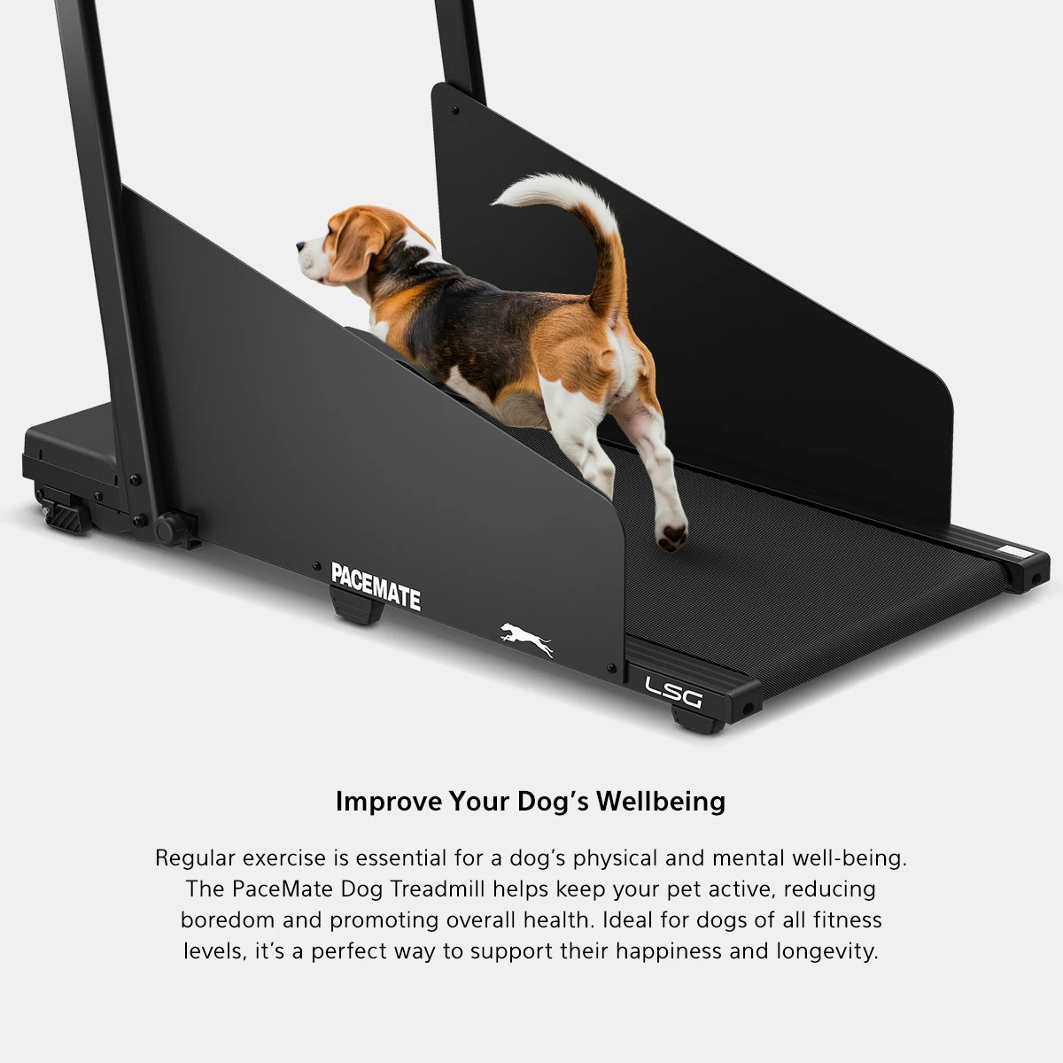 4 LSG PaceMate 2-in-1 Dog Treadmill & Walking Pad - Black, 4 of 9