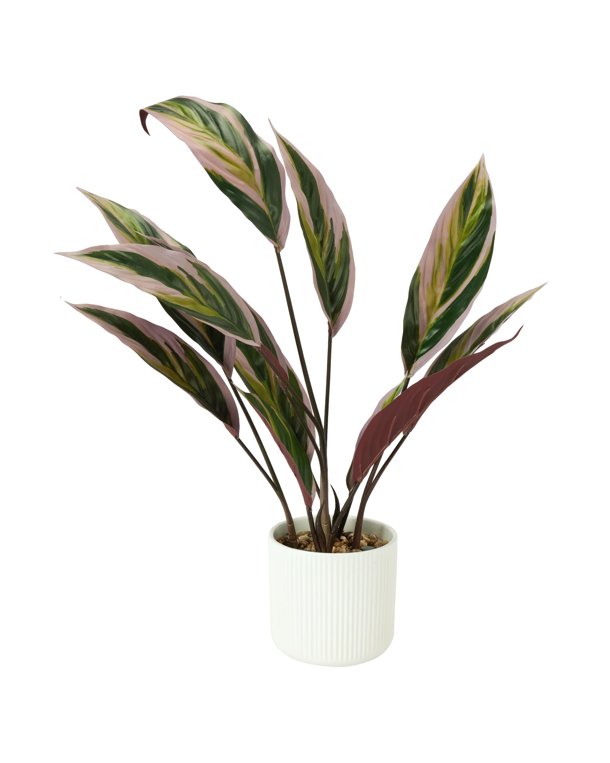 1 Artificial Stromanthe Plant in Linear Pot, 1 of 3