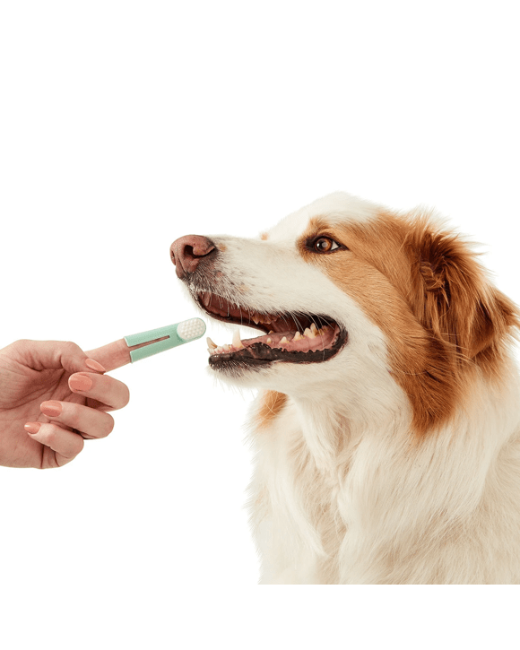 2 Pack Pet Dental Rubs