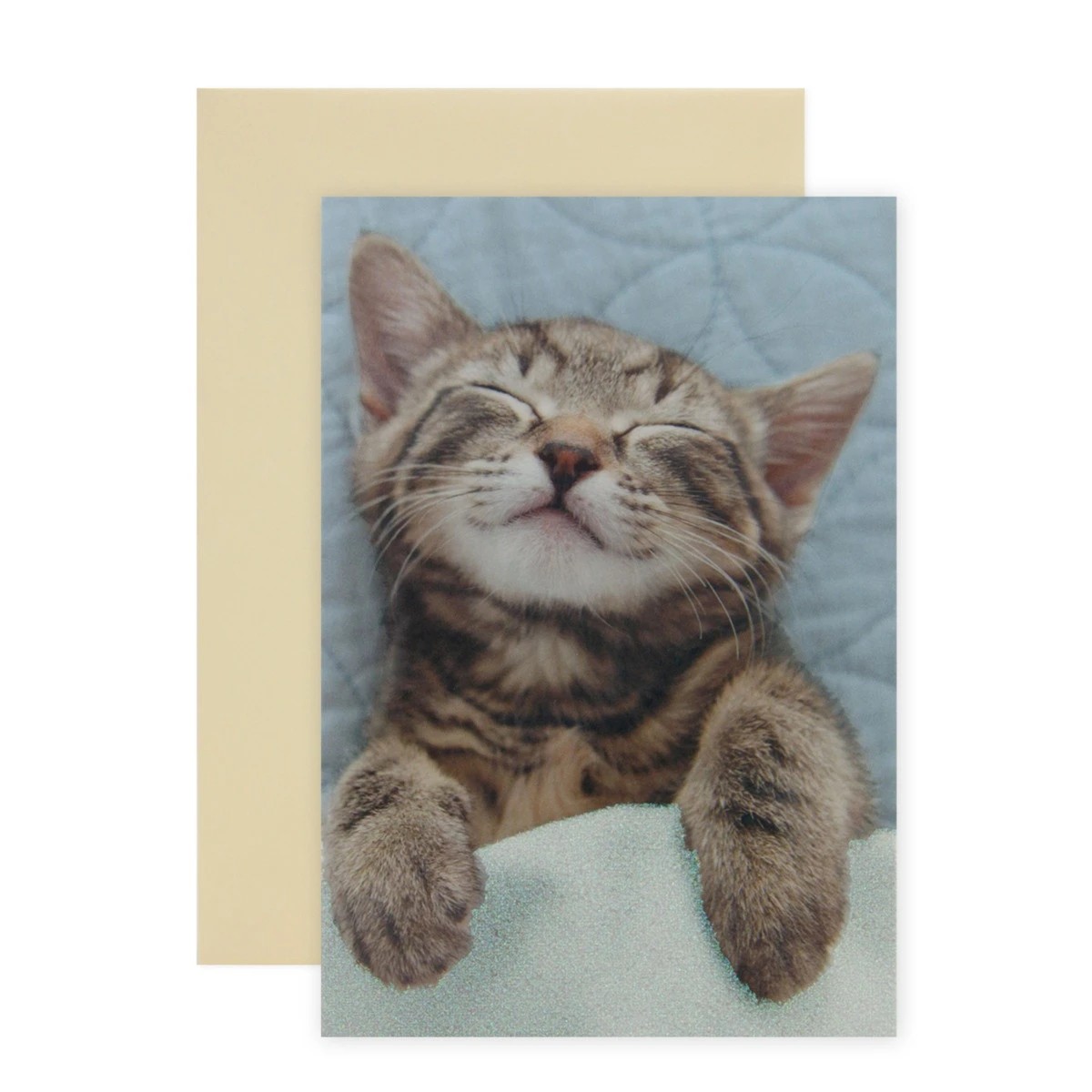 1 Connections from Hallmark Greeting Card - Sleepy Kitty, Warm Kitty, 1 of 3